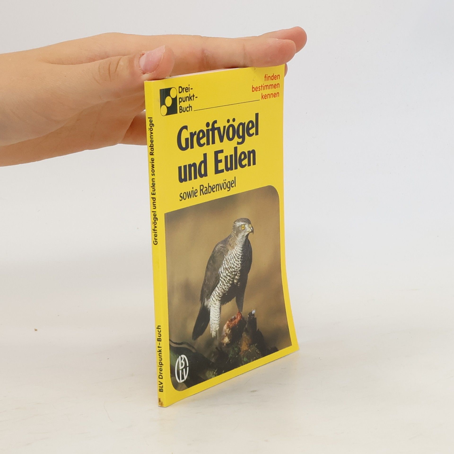 Greifvögel und Eulen sowie Rabenvögel
