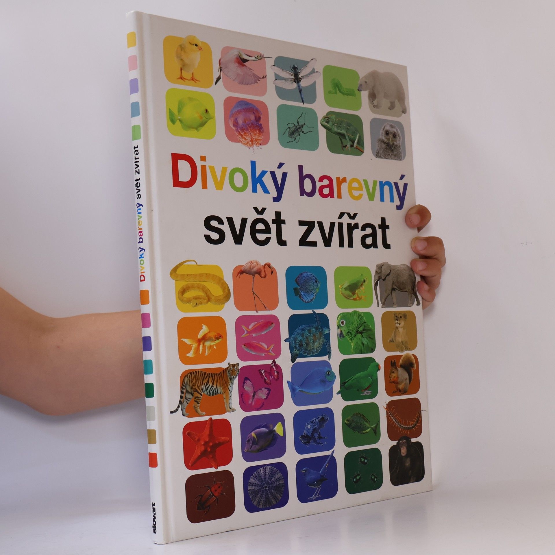 Anita Ganeri Divoký barevný svět zvířat