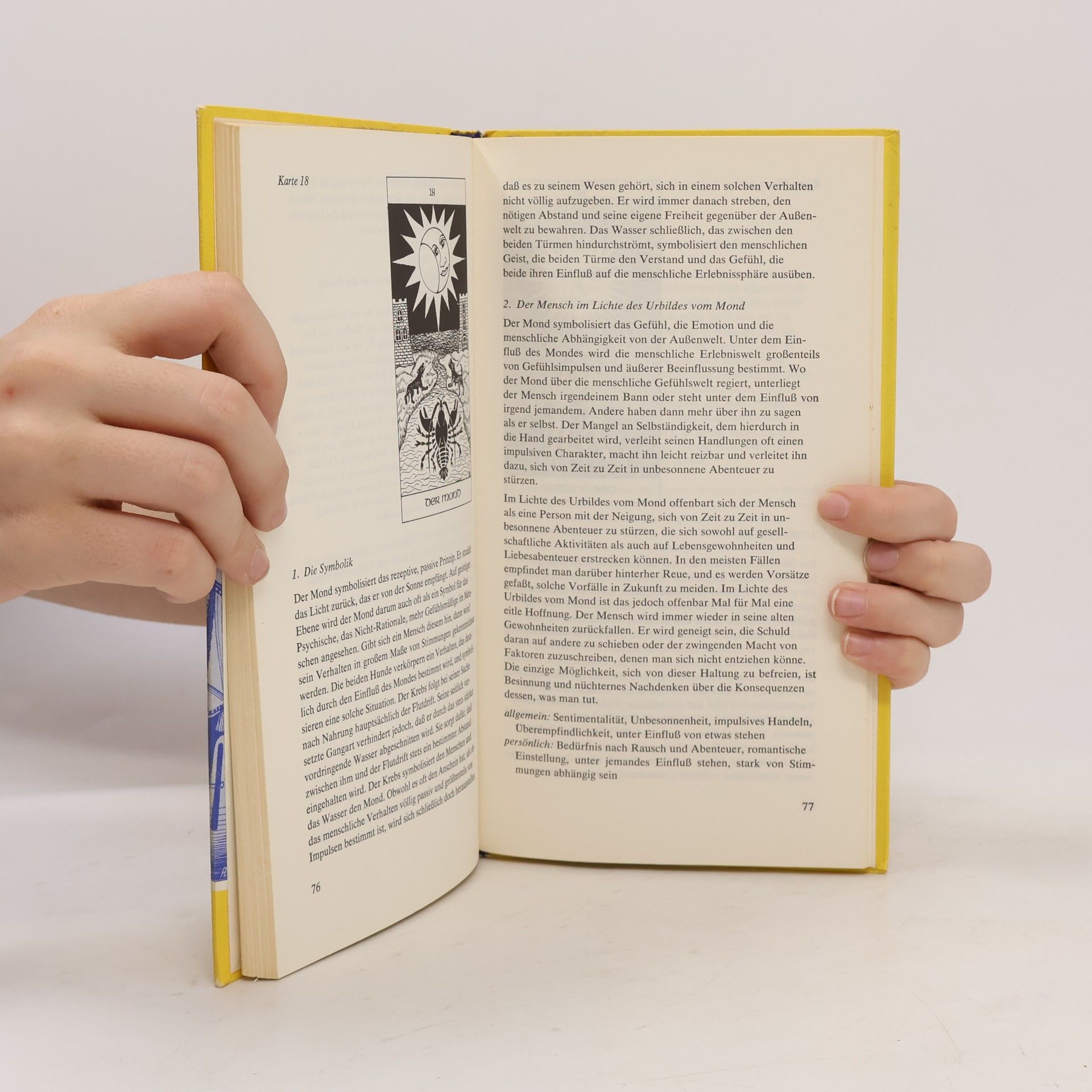 Dio Raman Der praktische Tarot