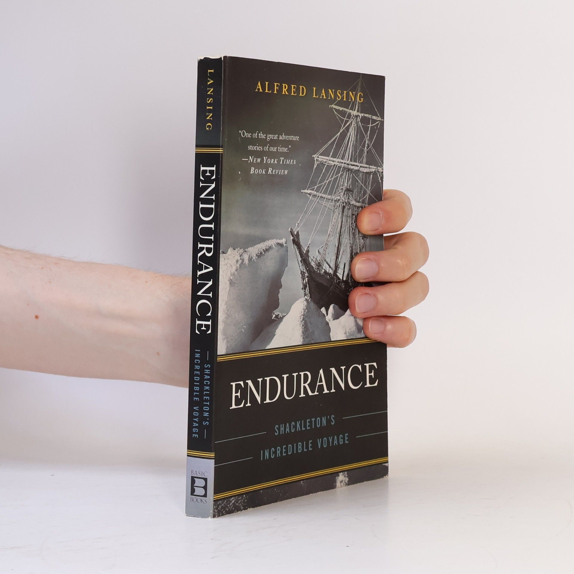 Alfred Lansing Endurance