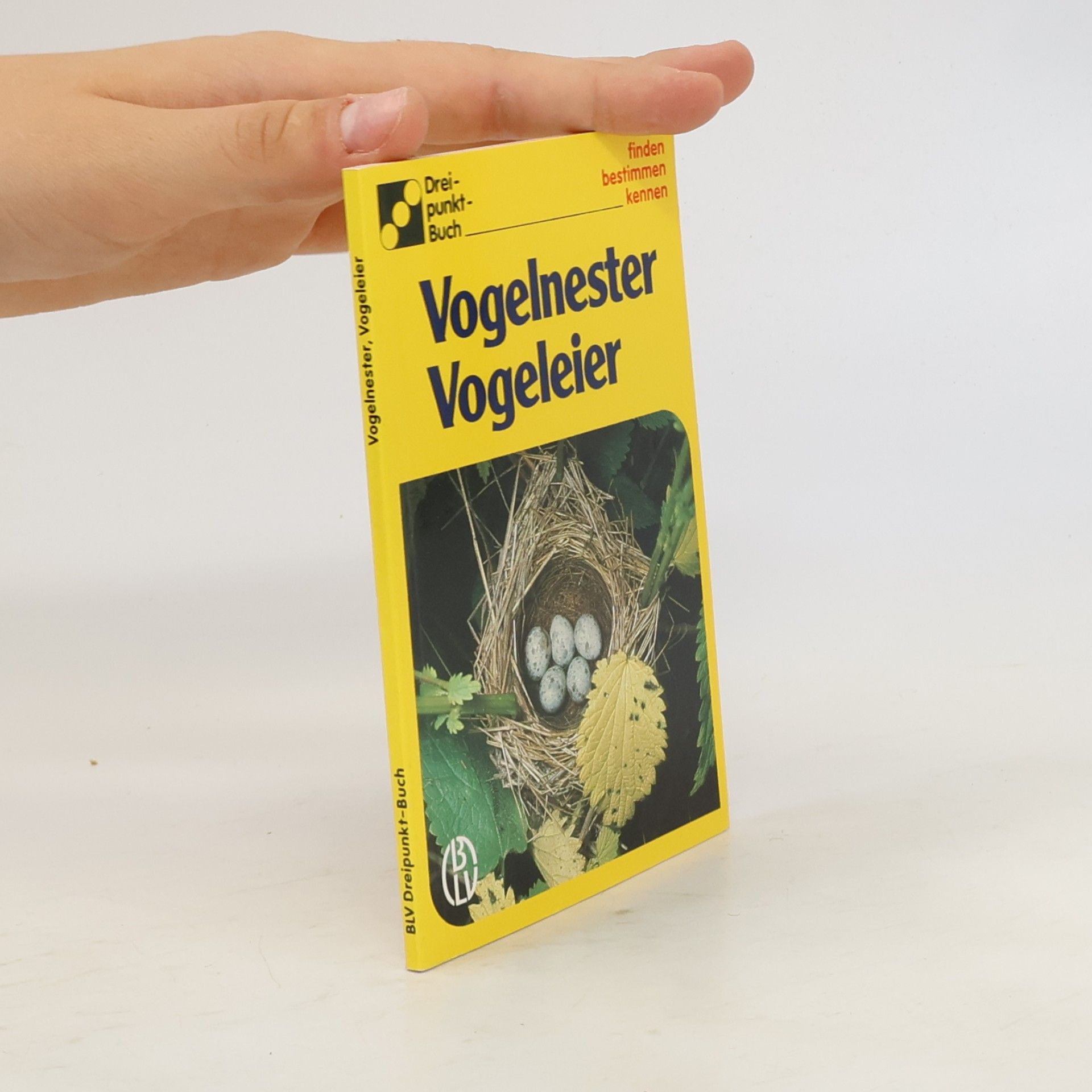 Vogelnester Vogeleier