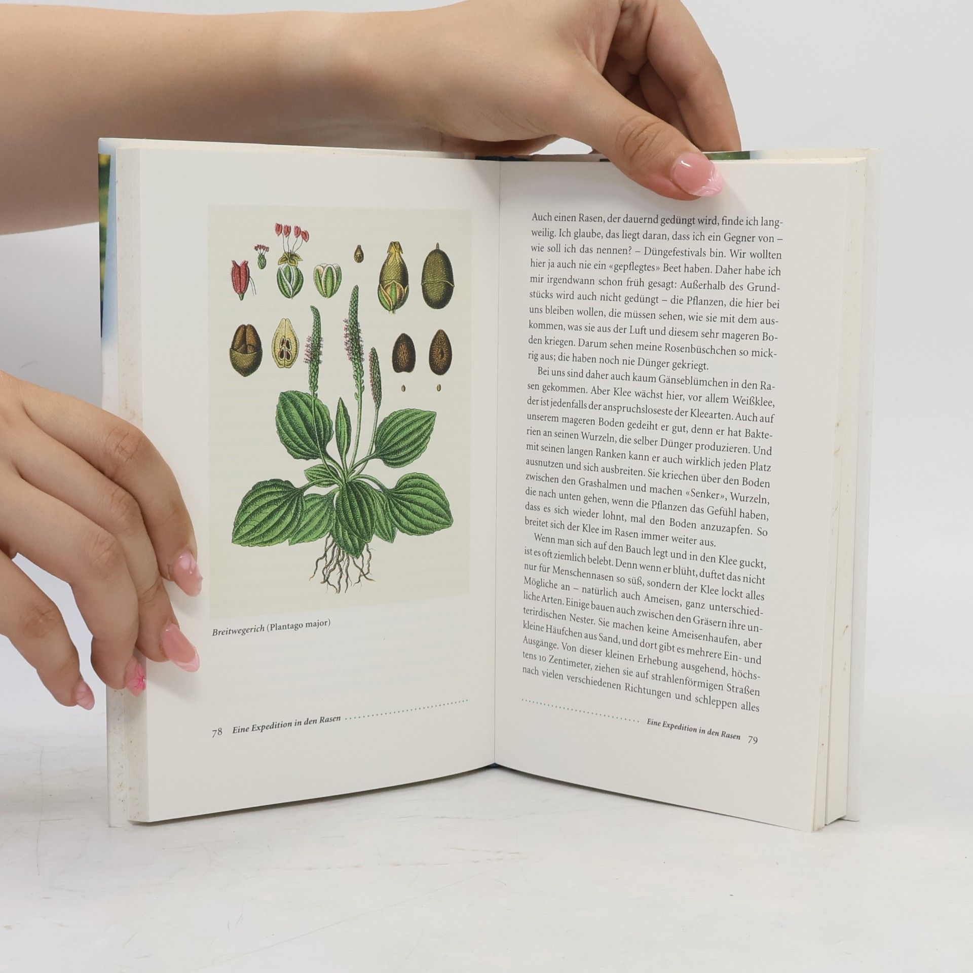 Loki Schmidt Das Naturbuch für Neugierige