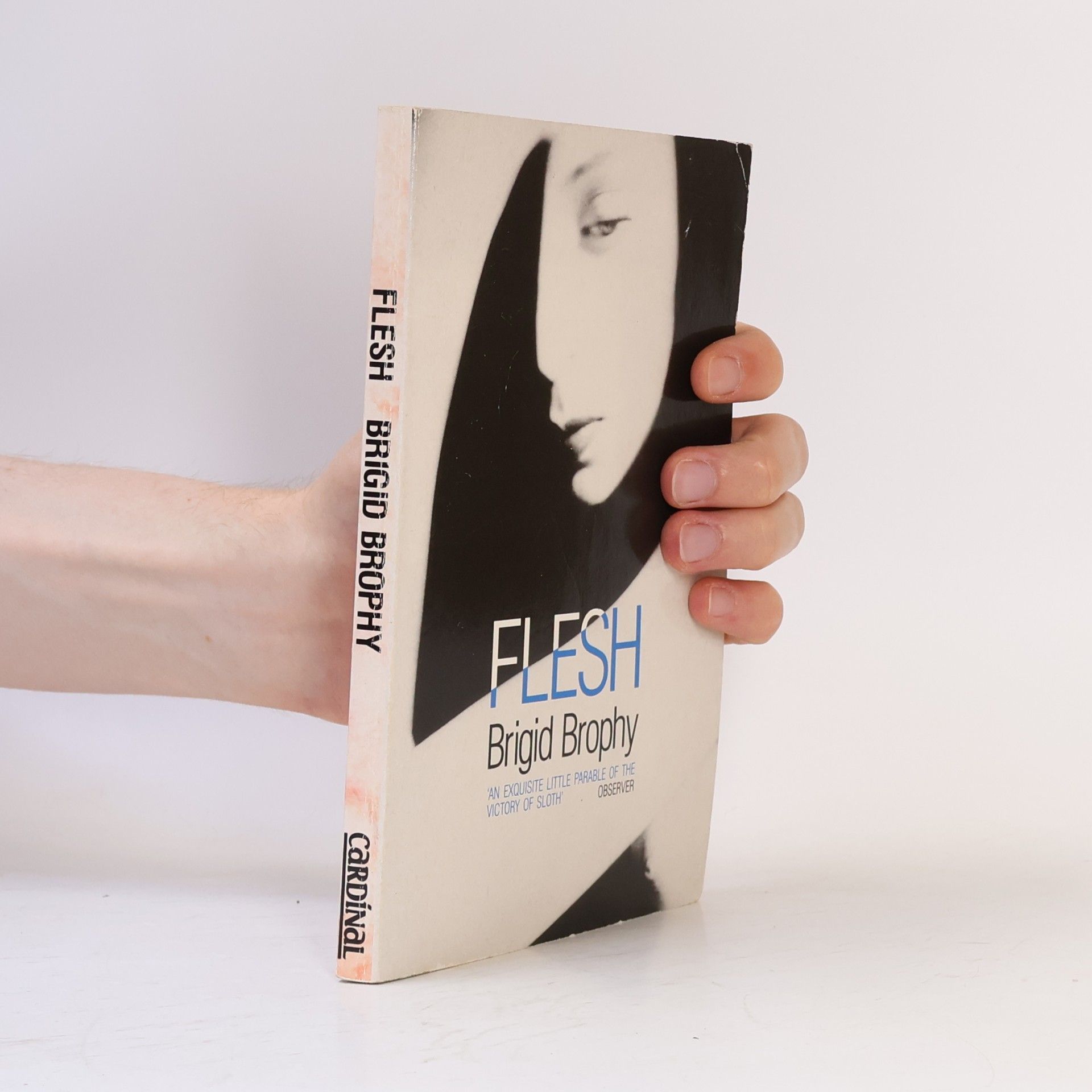 Brigid Brophy Flesh