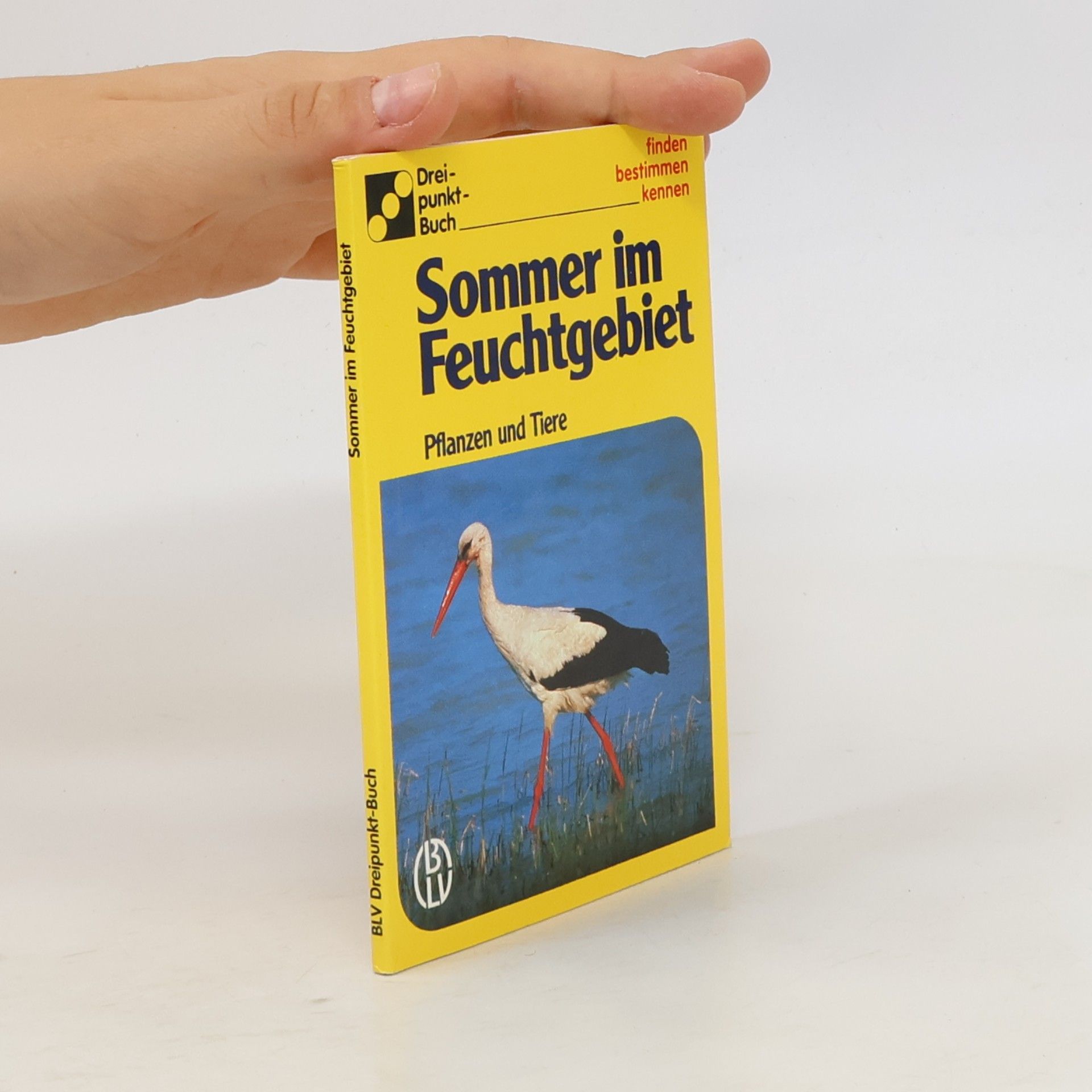 Auteurscollectief Sommer im Feuchtgebiet