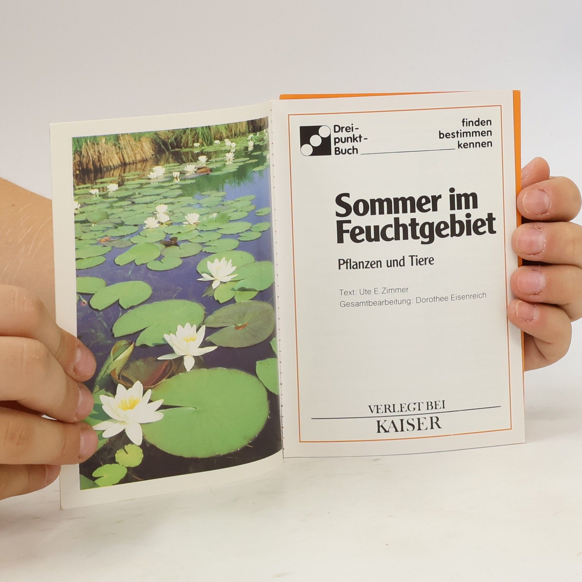 Autorenkollektiv Sommer im Feuchtgebiet