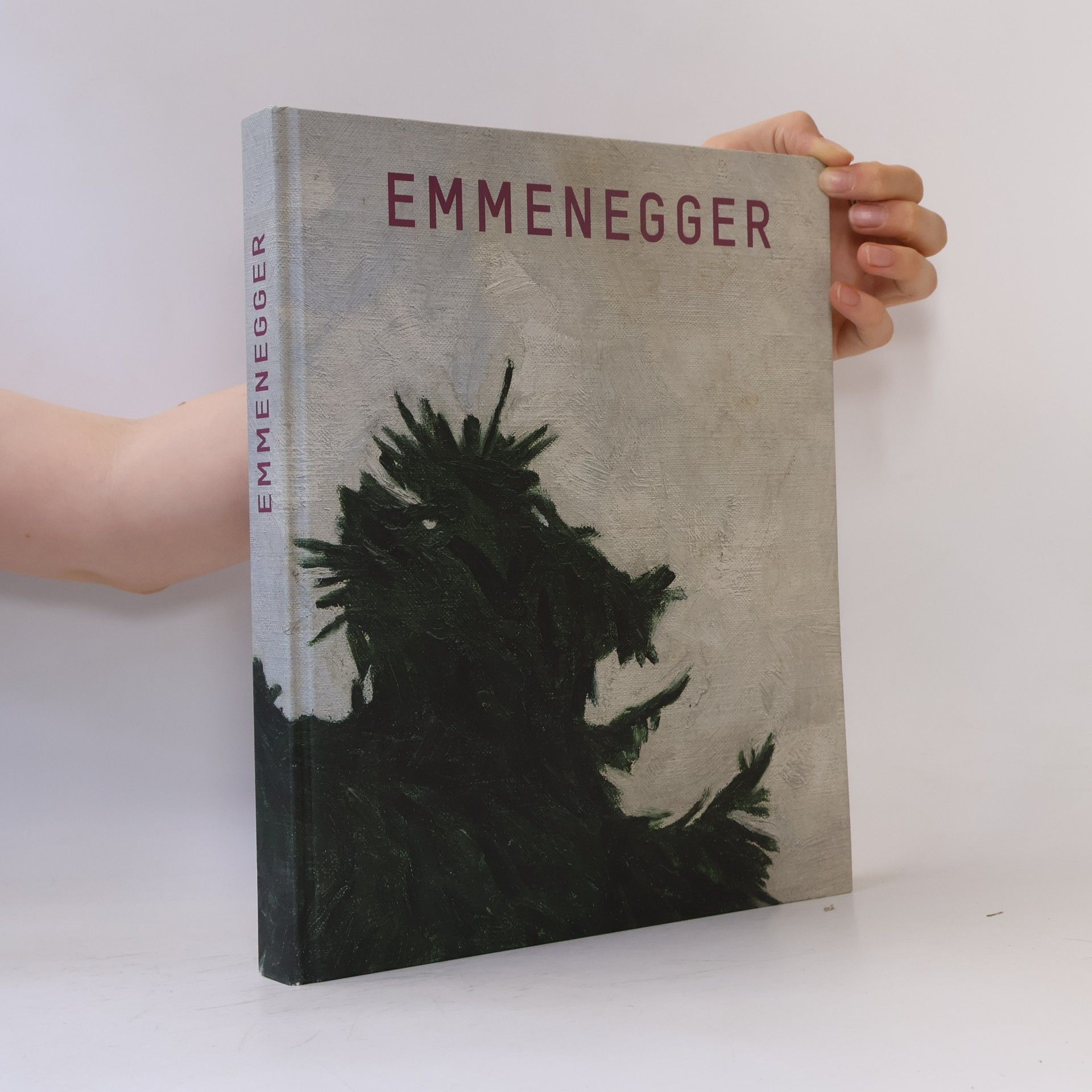 Hans Emmenegger Jetzt will ich einmal schroff meinen Weg gehen-