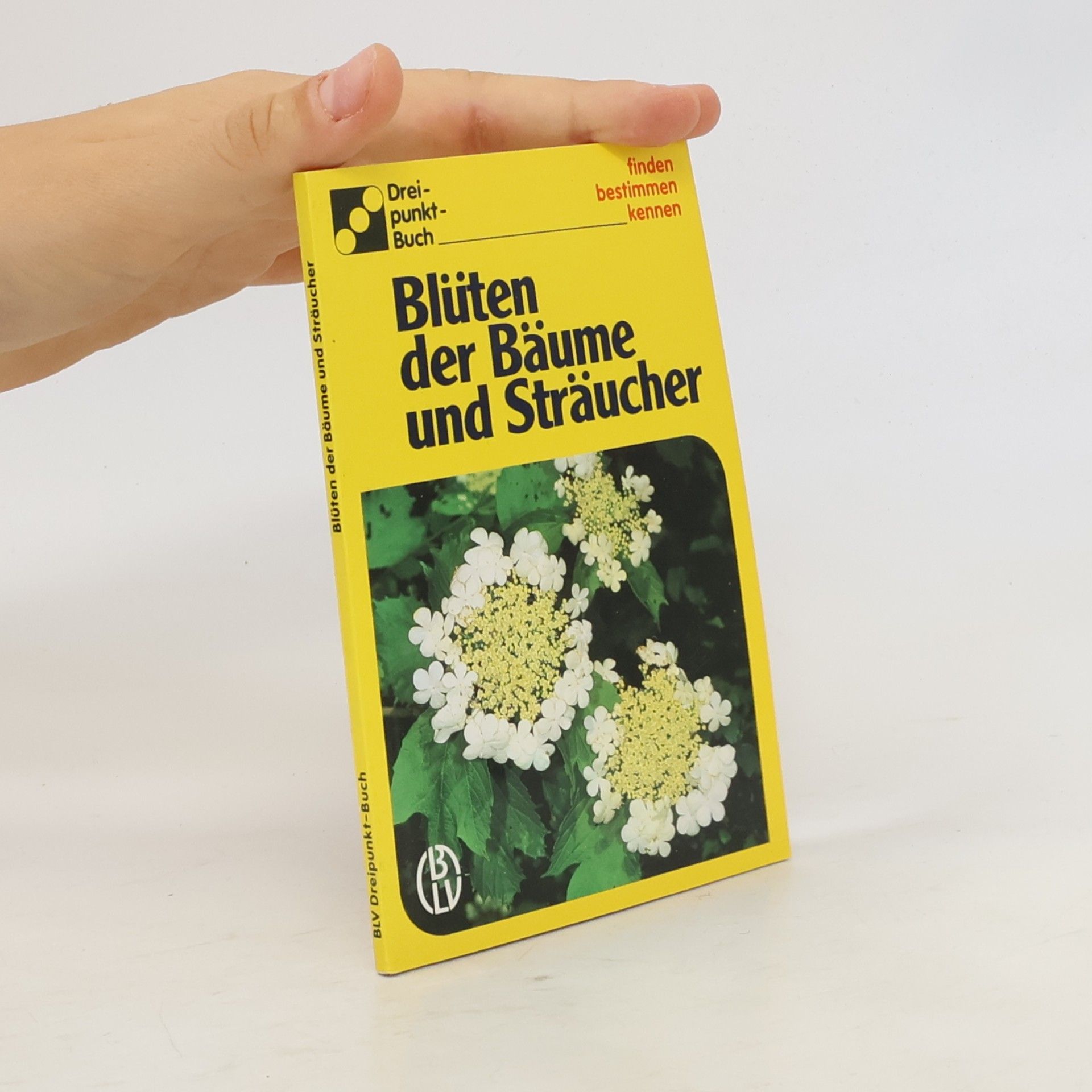 Ute E. Zimmer Blüten der Bäume und Sträucher