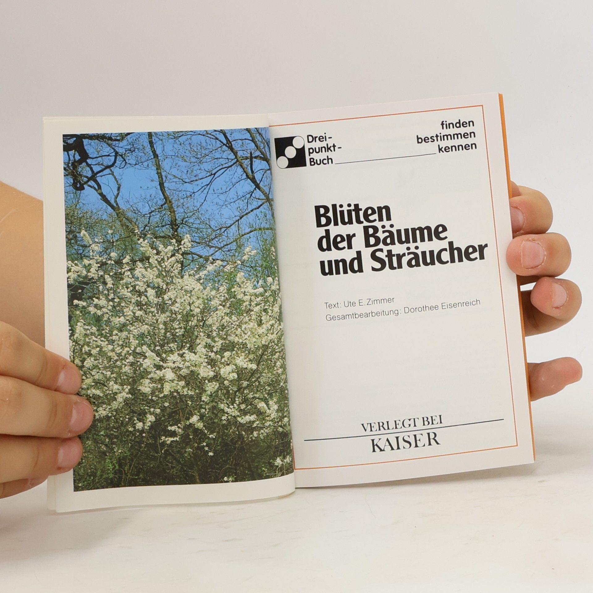 Dorothee Eisenreich Blüten der Bäume und Sträucher