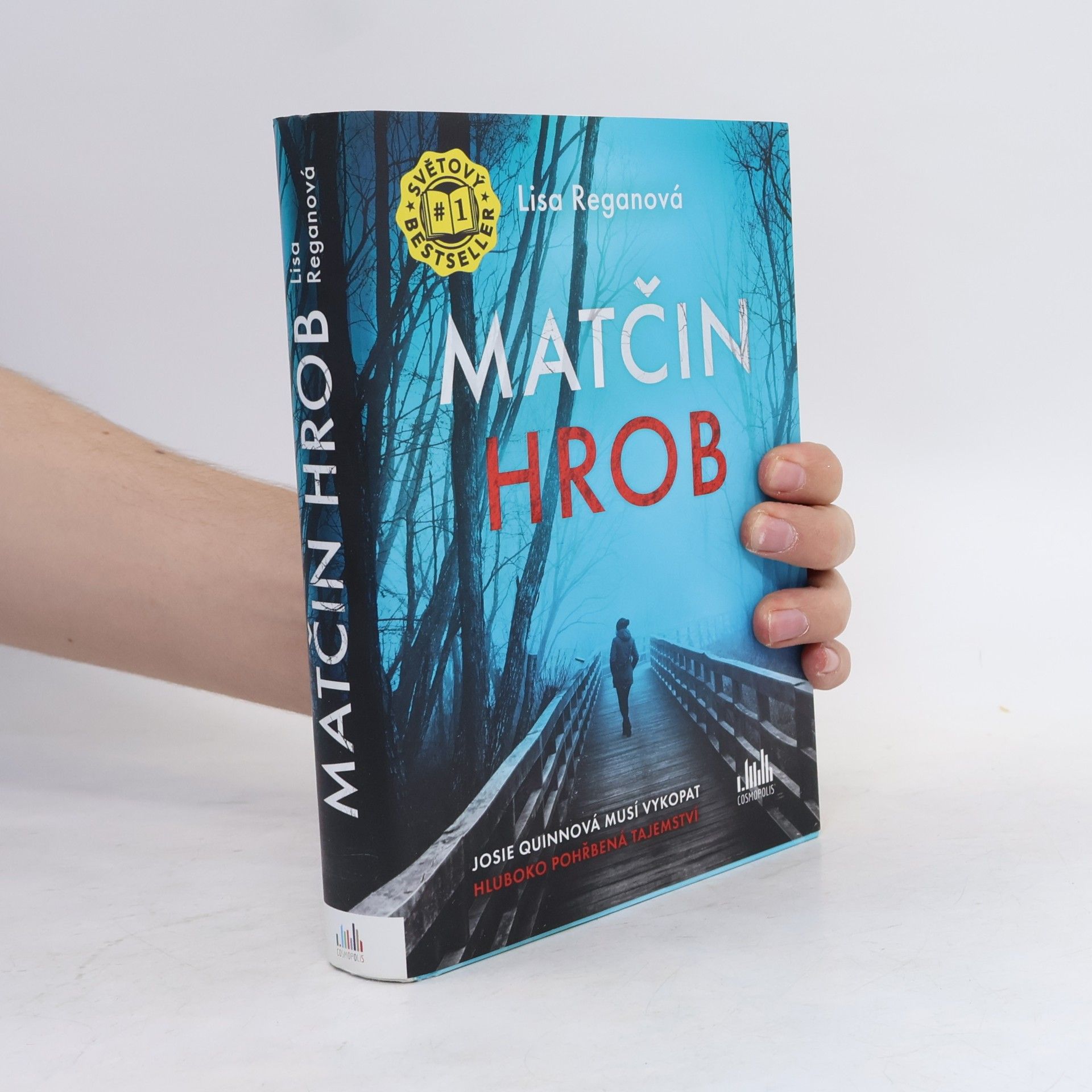Lisa Regan Matčin hrob