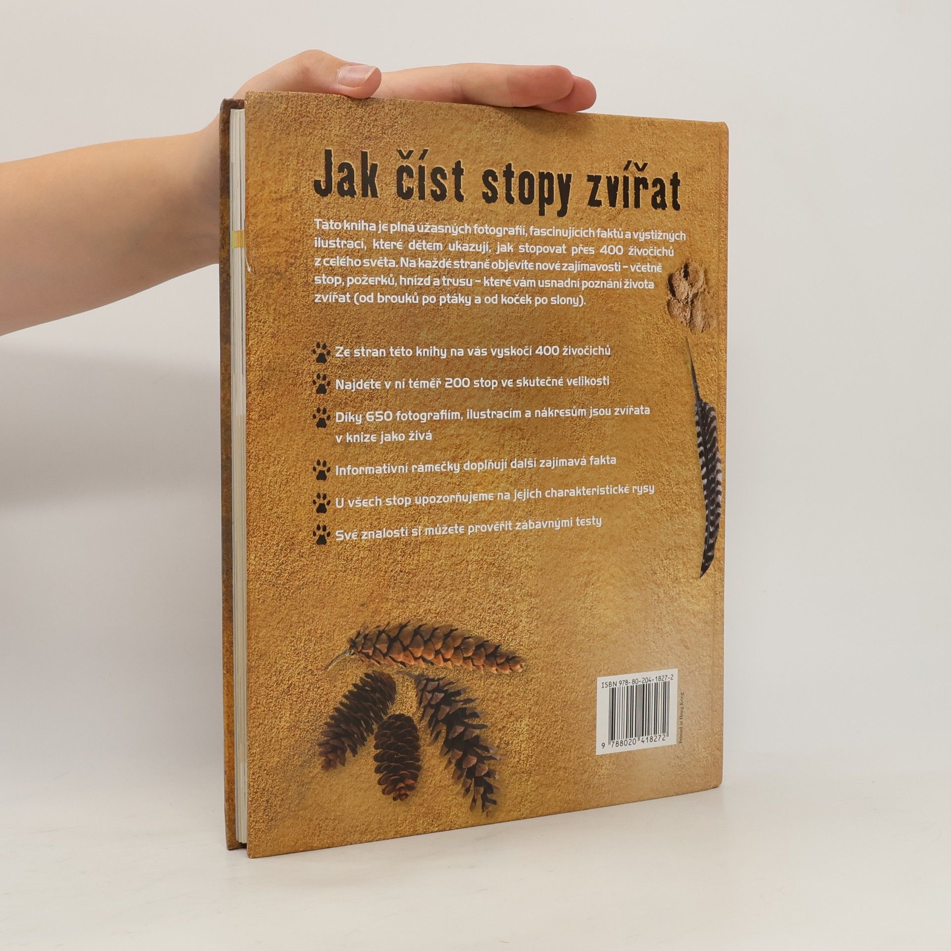 Jinny Johnson Jak číst stopy zvířat