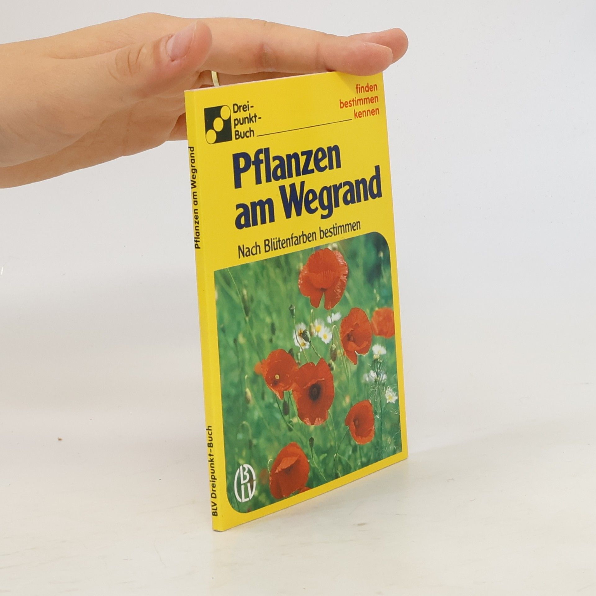 Pflanzen am Wegrand
