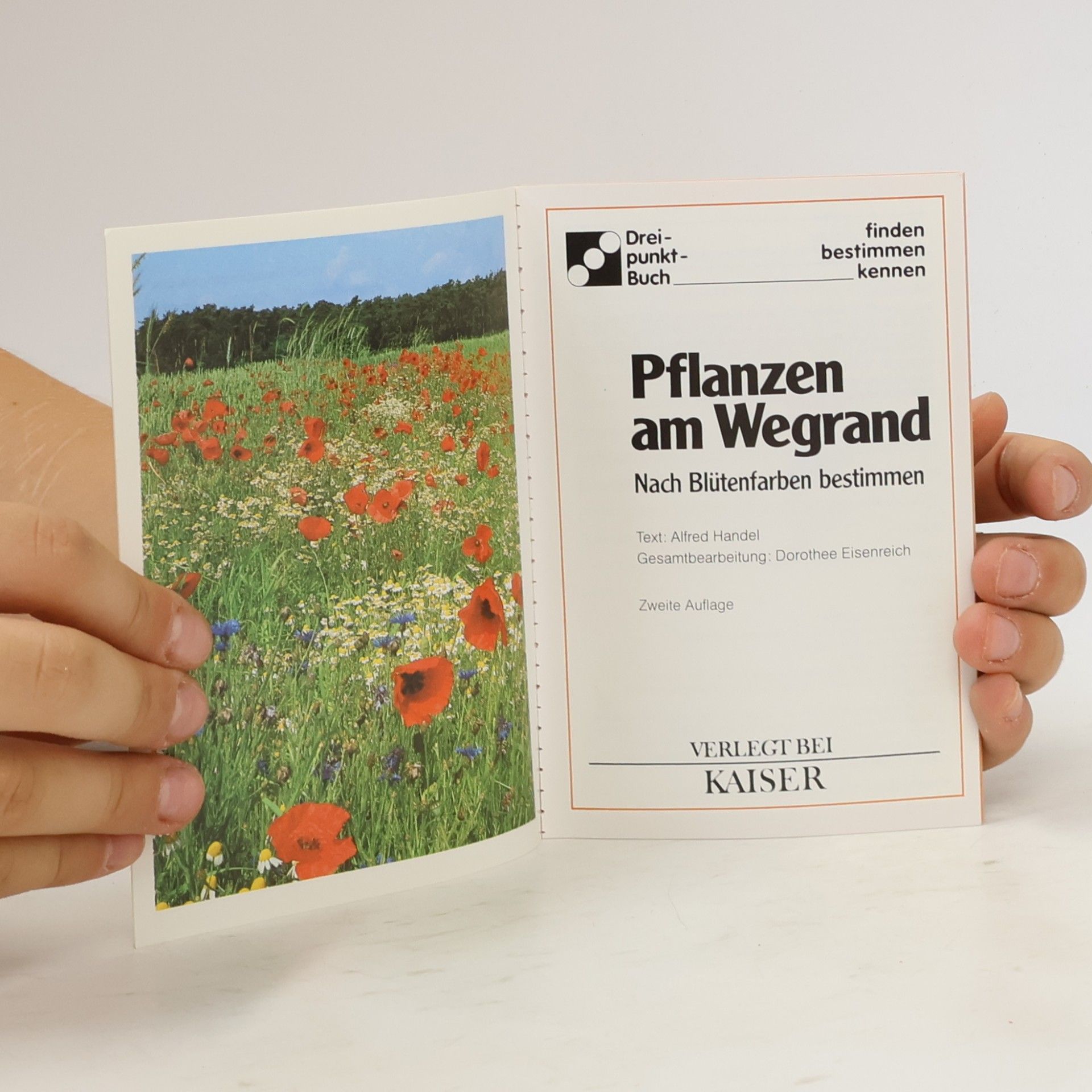 Alfred Handel Pflanzen am Wegrand