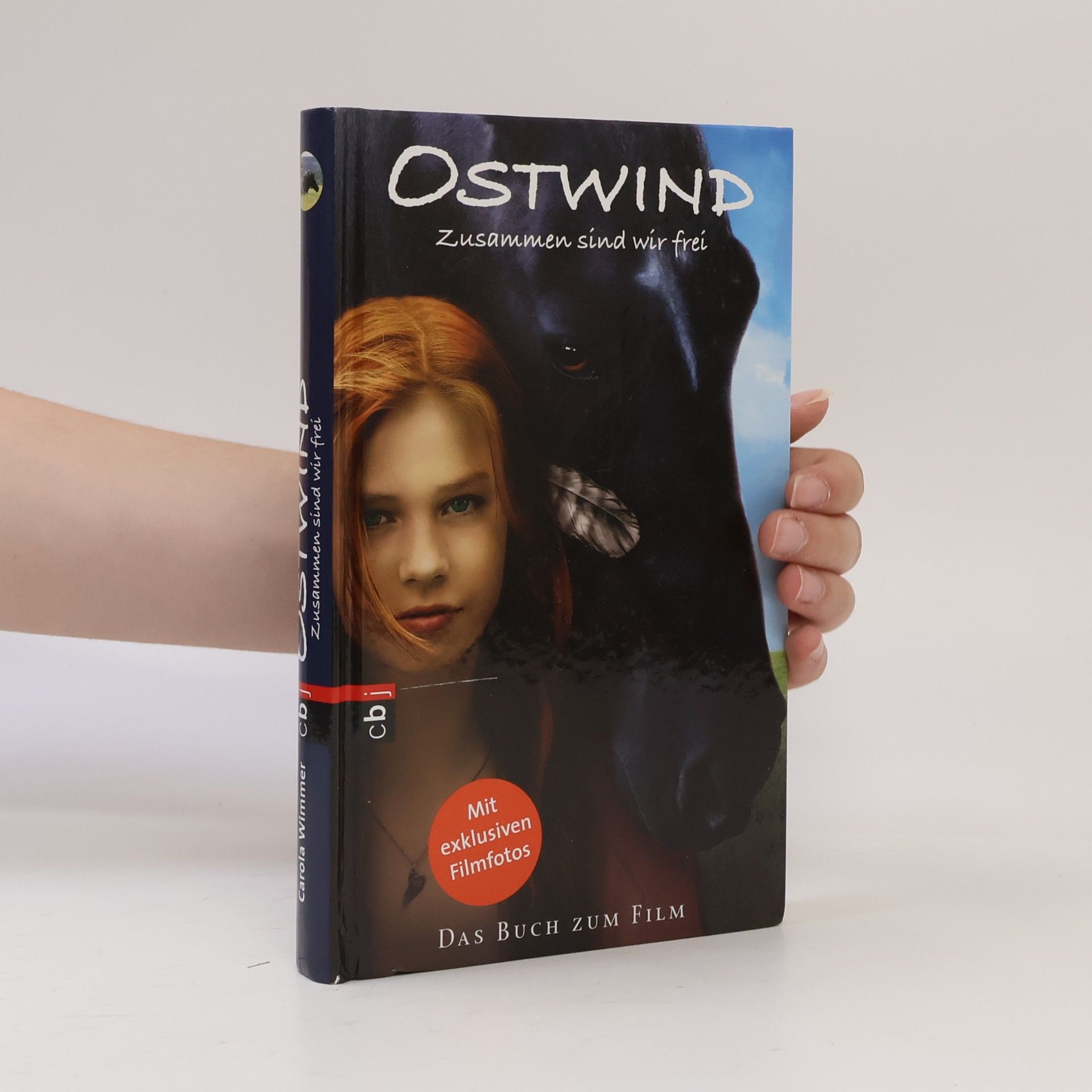 Annette Langen Mathilda, Mathilda! Drei wie Wind und Wirbel