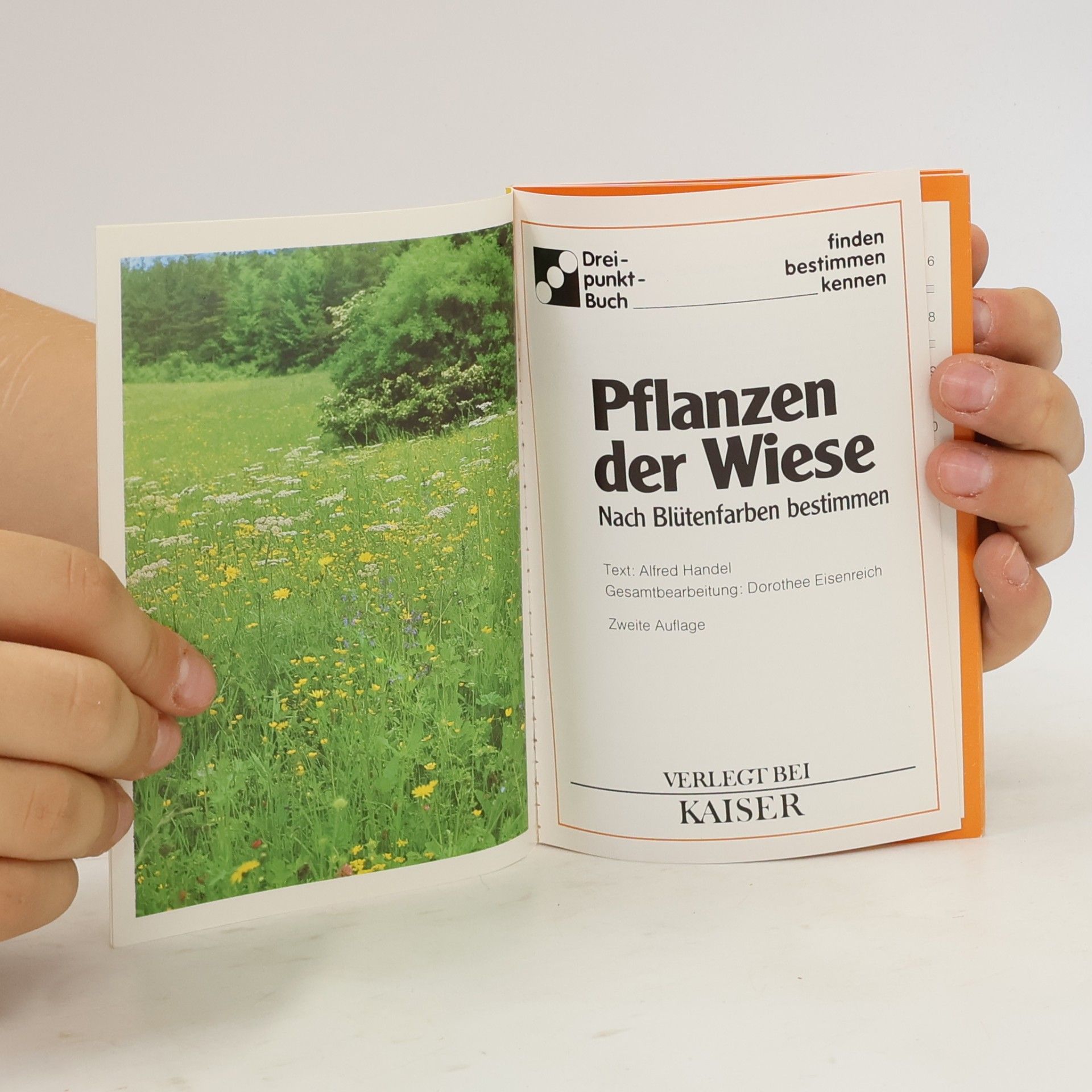 Alfred Handel Pflanzen der Weise