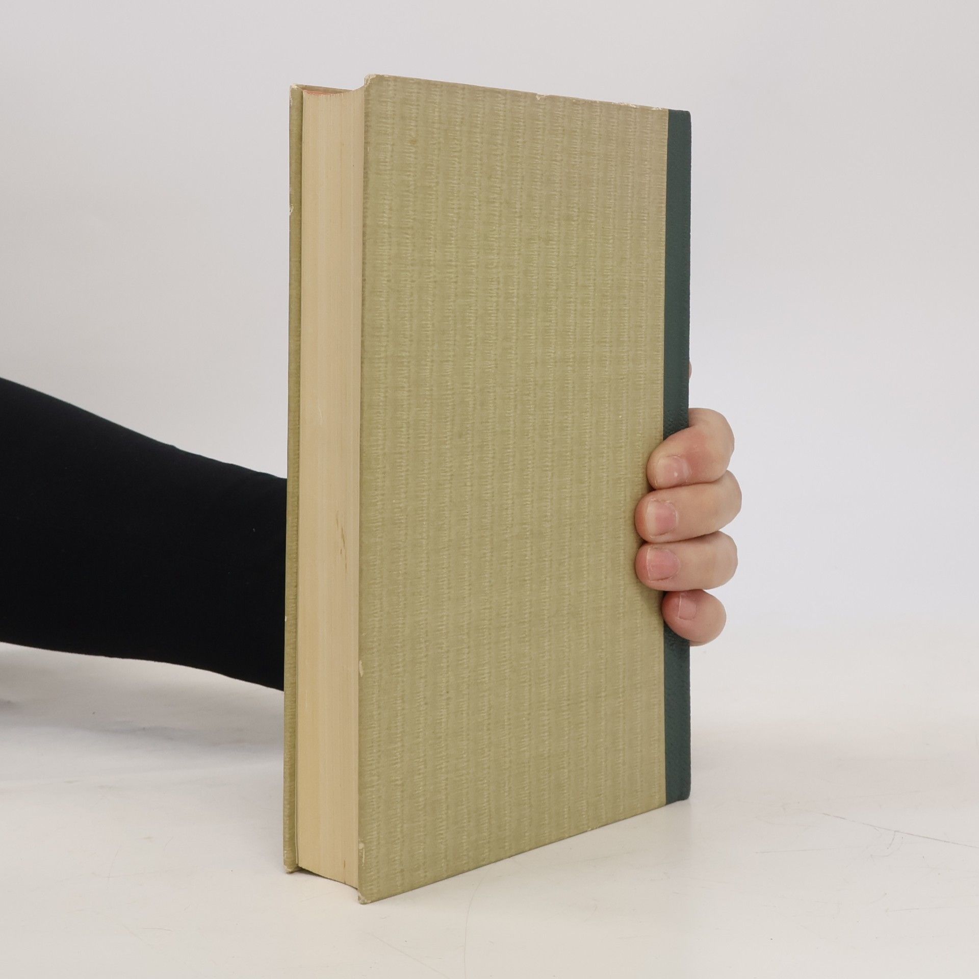Thomas Mann Meister-Novellen
