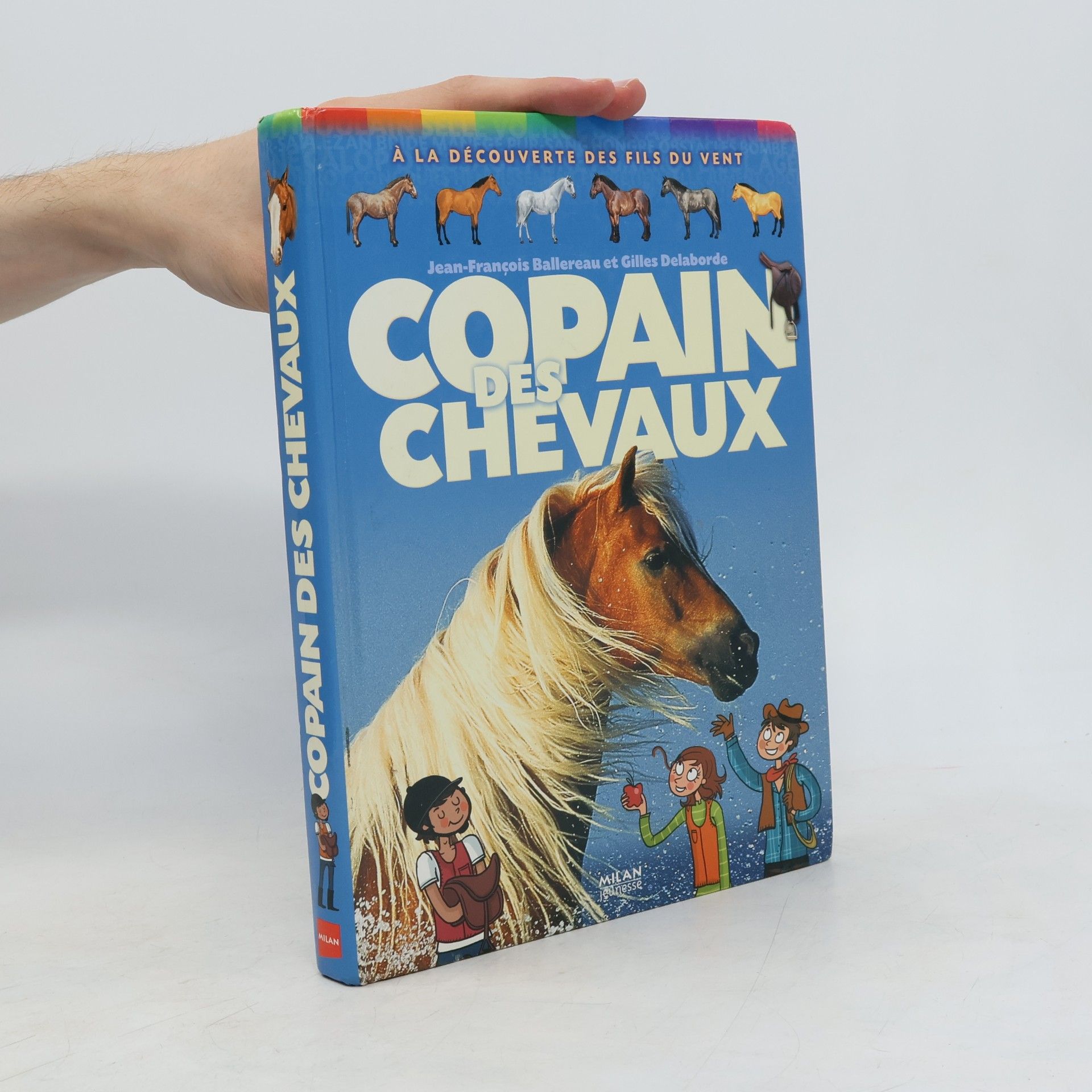Jean-François Ballereau Copain des chevaux