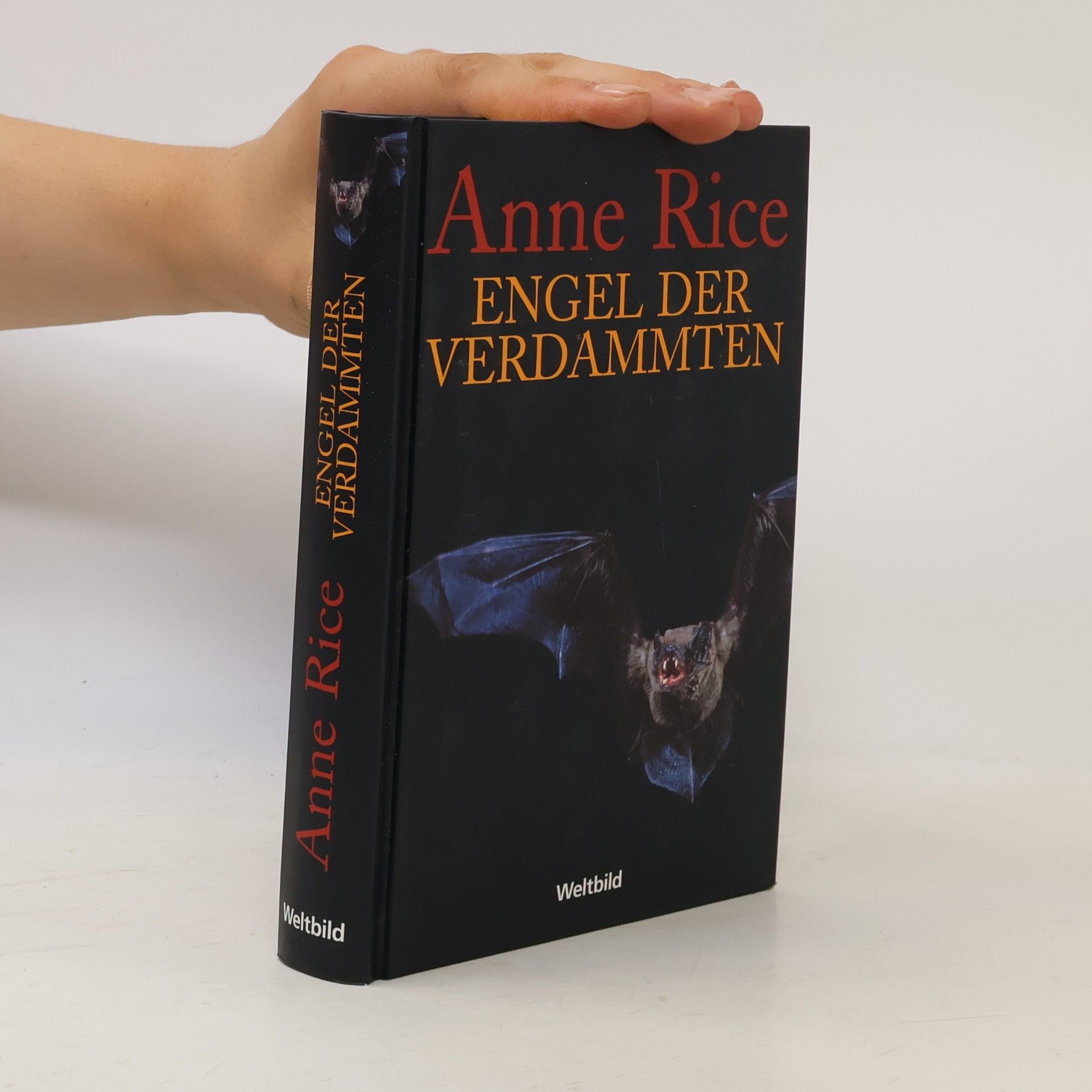 Anne Rice Memnoch der Teufel