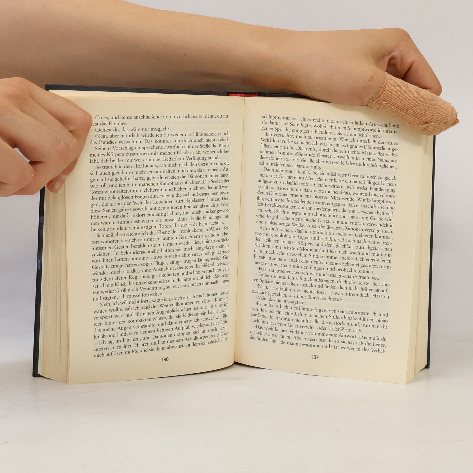 Anne Rice Memnoch der Teufel