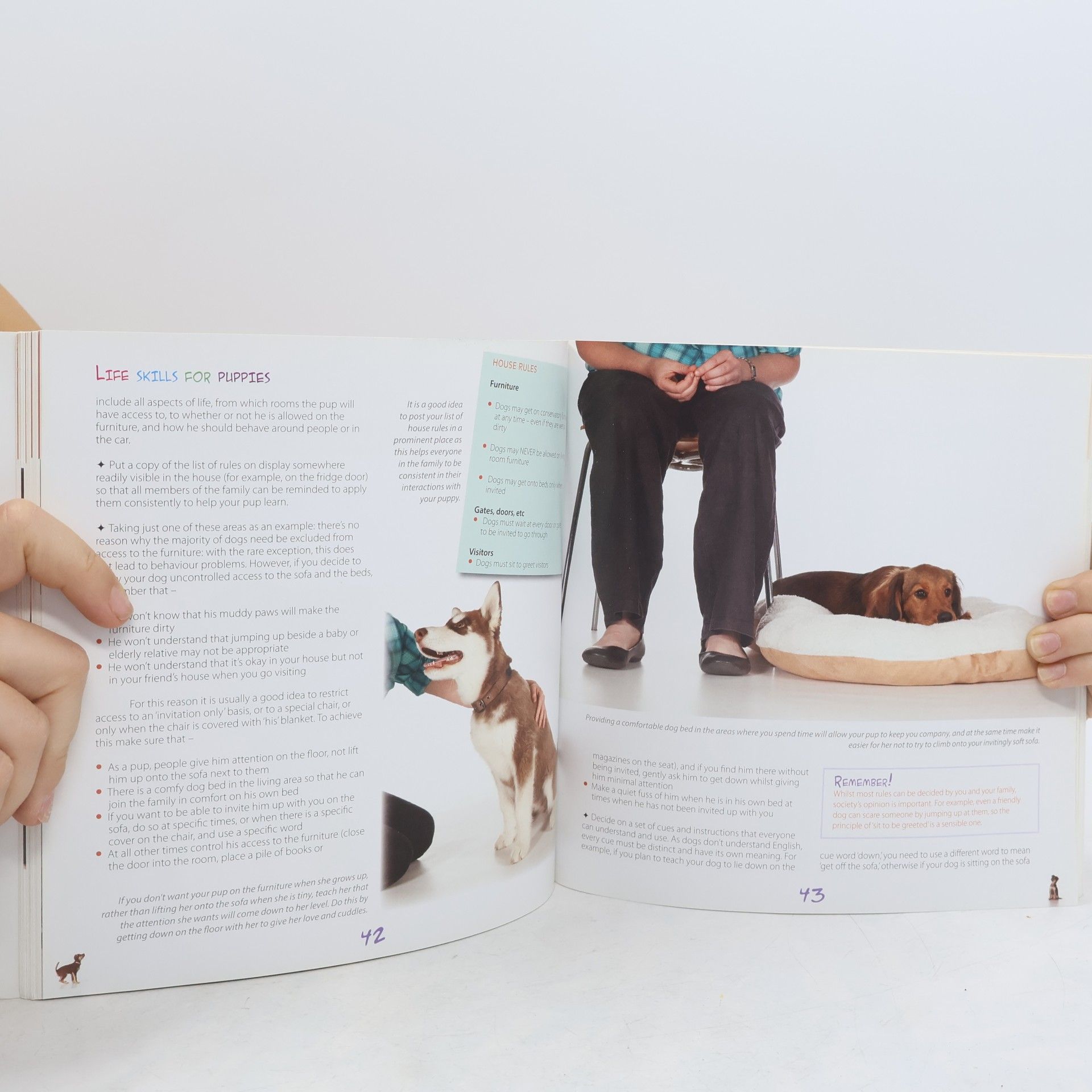 Helen Zulch Life Skills for Puppies