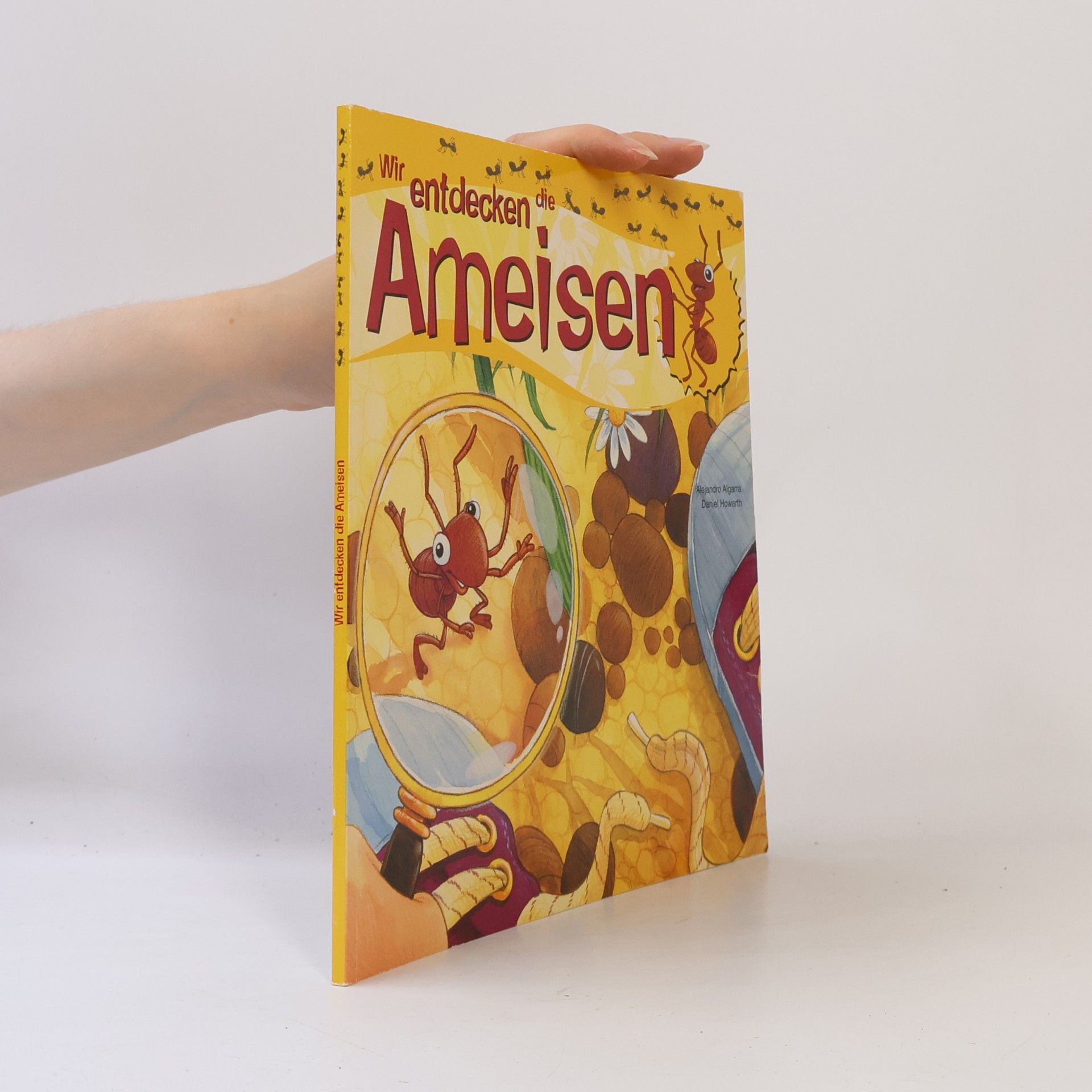 Wir entdecken die Ameisen