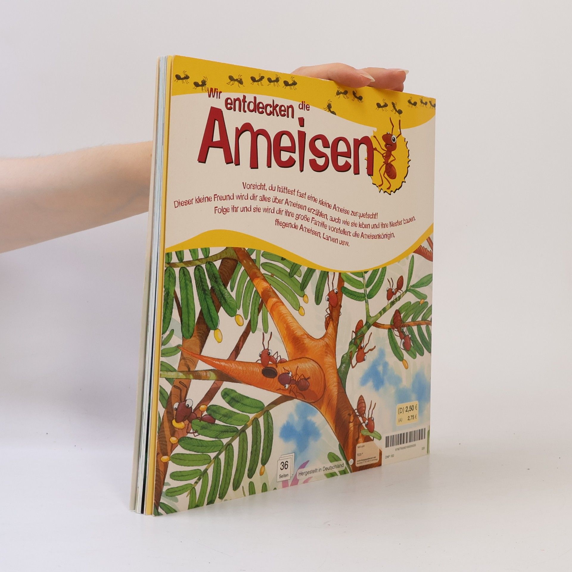 Alejandro Algarra Wir entdecken die Ameisen