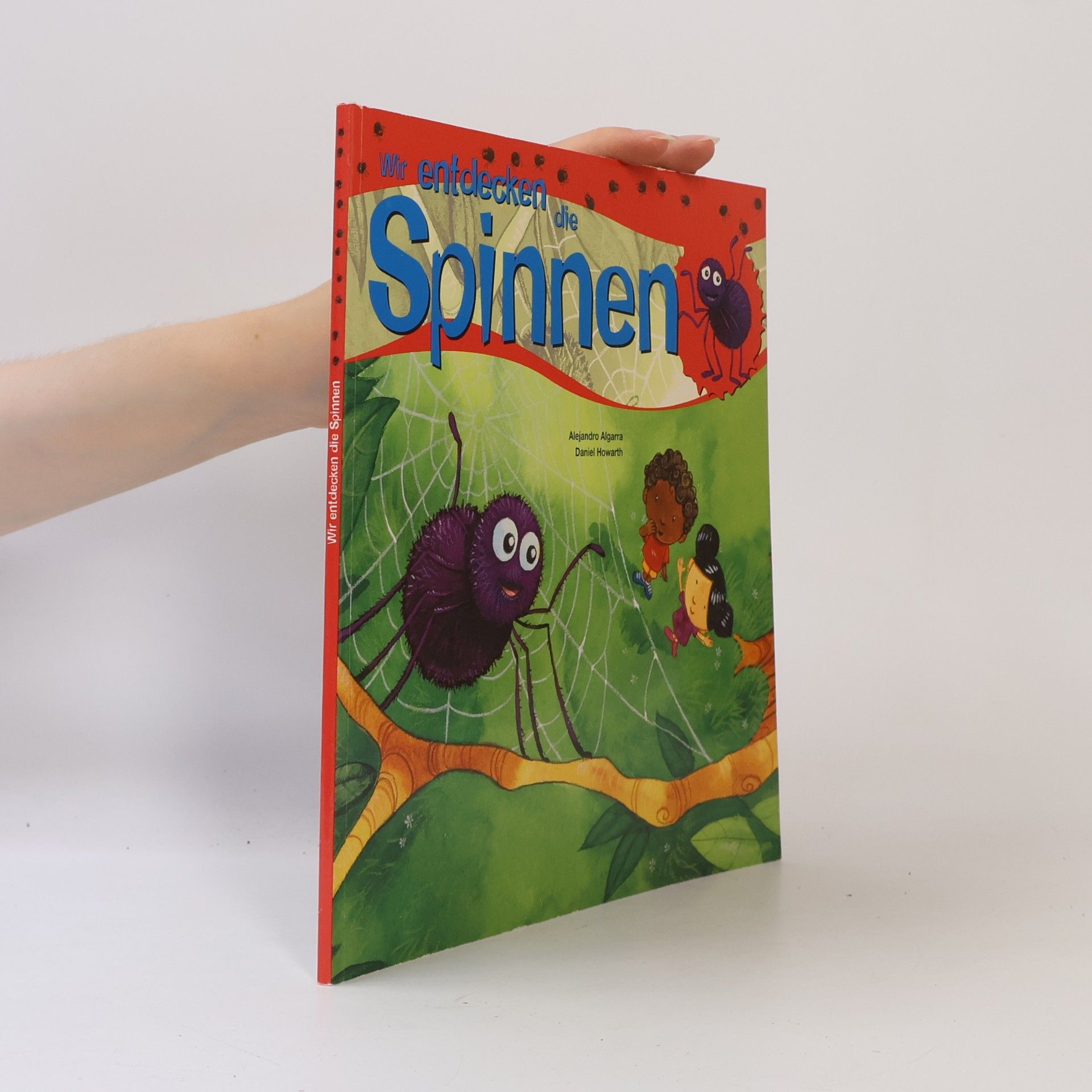 Wir entdecken die Spinnen