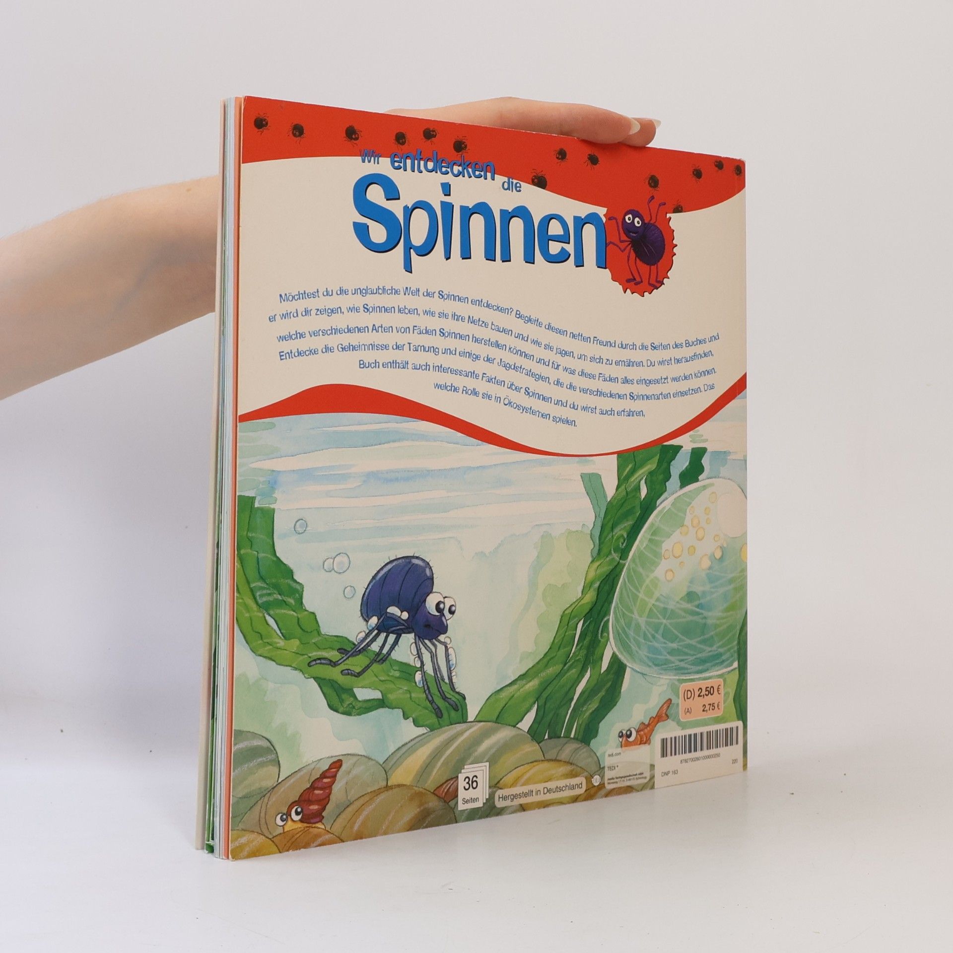 Alejandro Algarra Wir entdecken die Spinnen