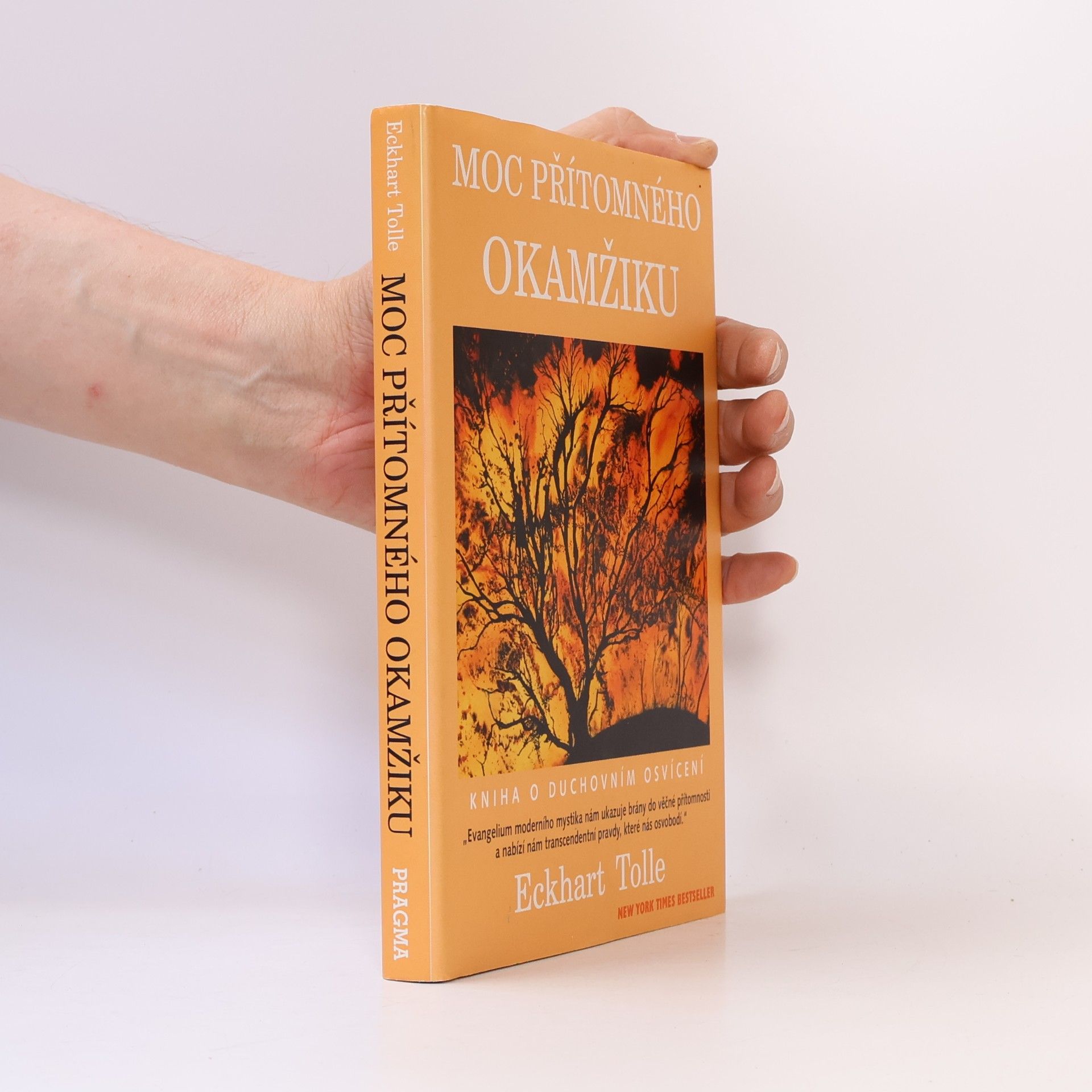 Eckhart Tolle Moc přítomného okamžiku