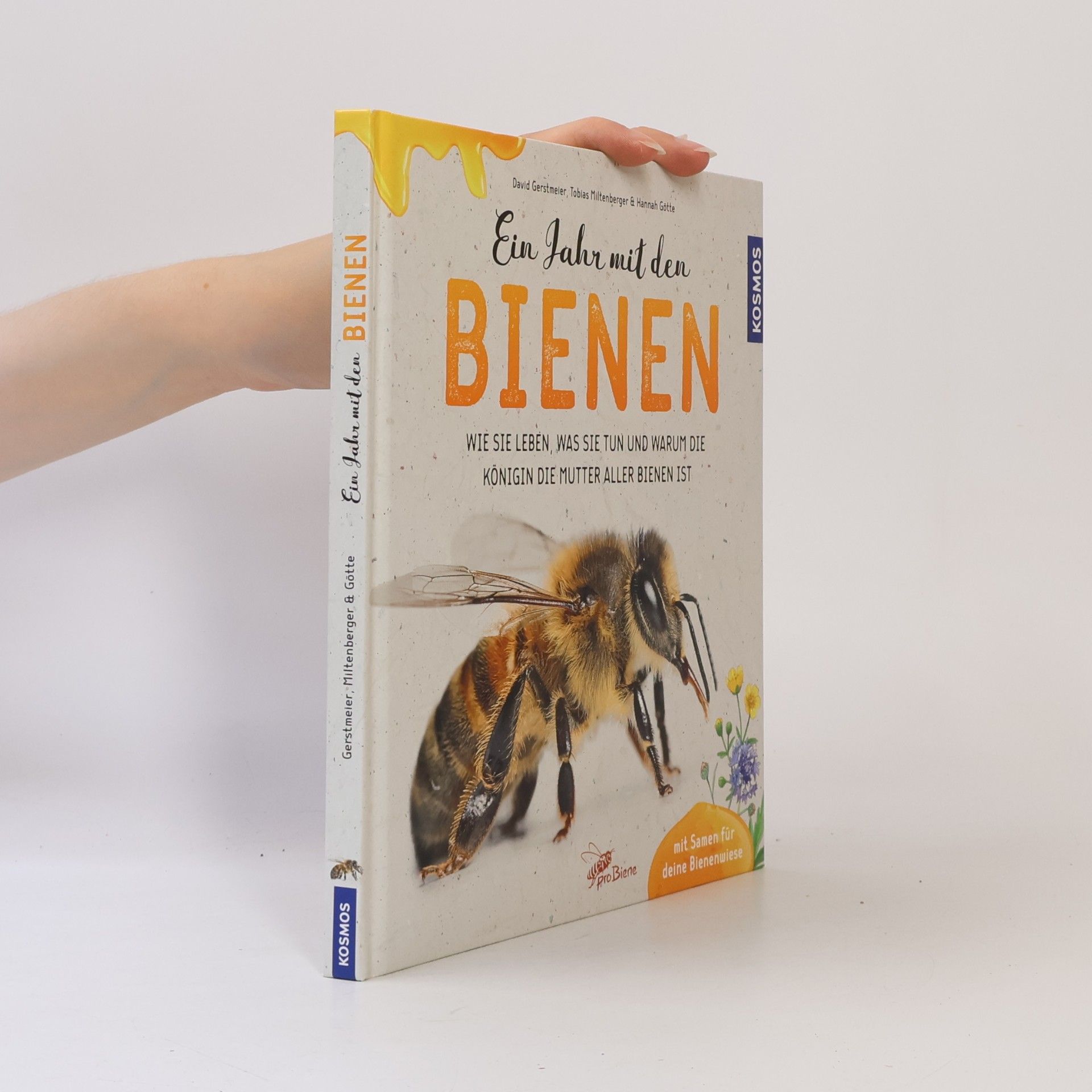Ein Jahr mit den Bienen
