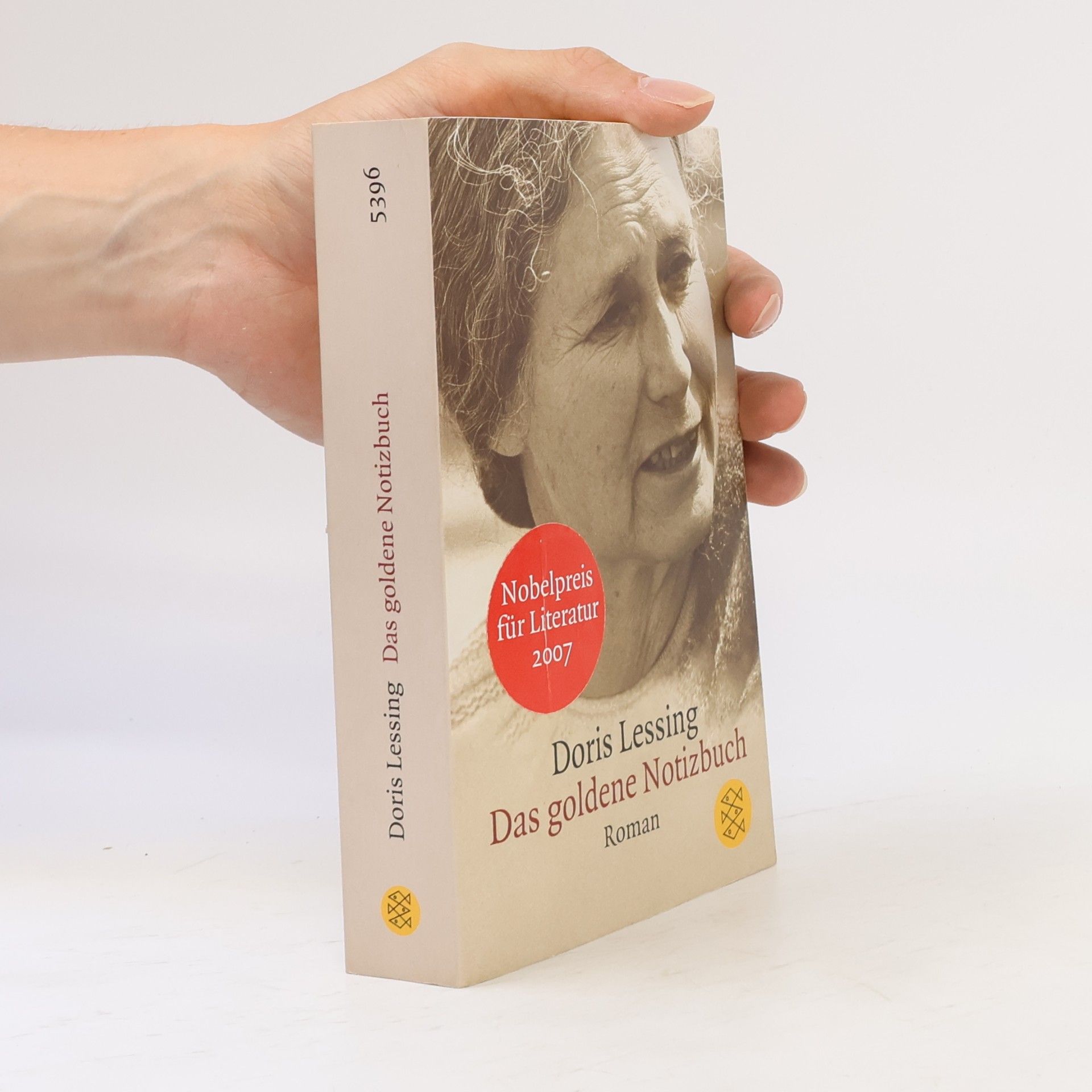 Doris Lessing Das goldene Notizbuch