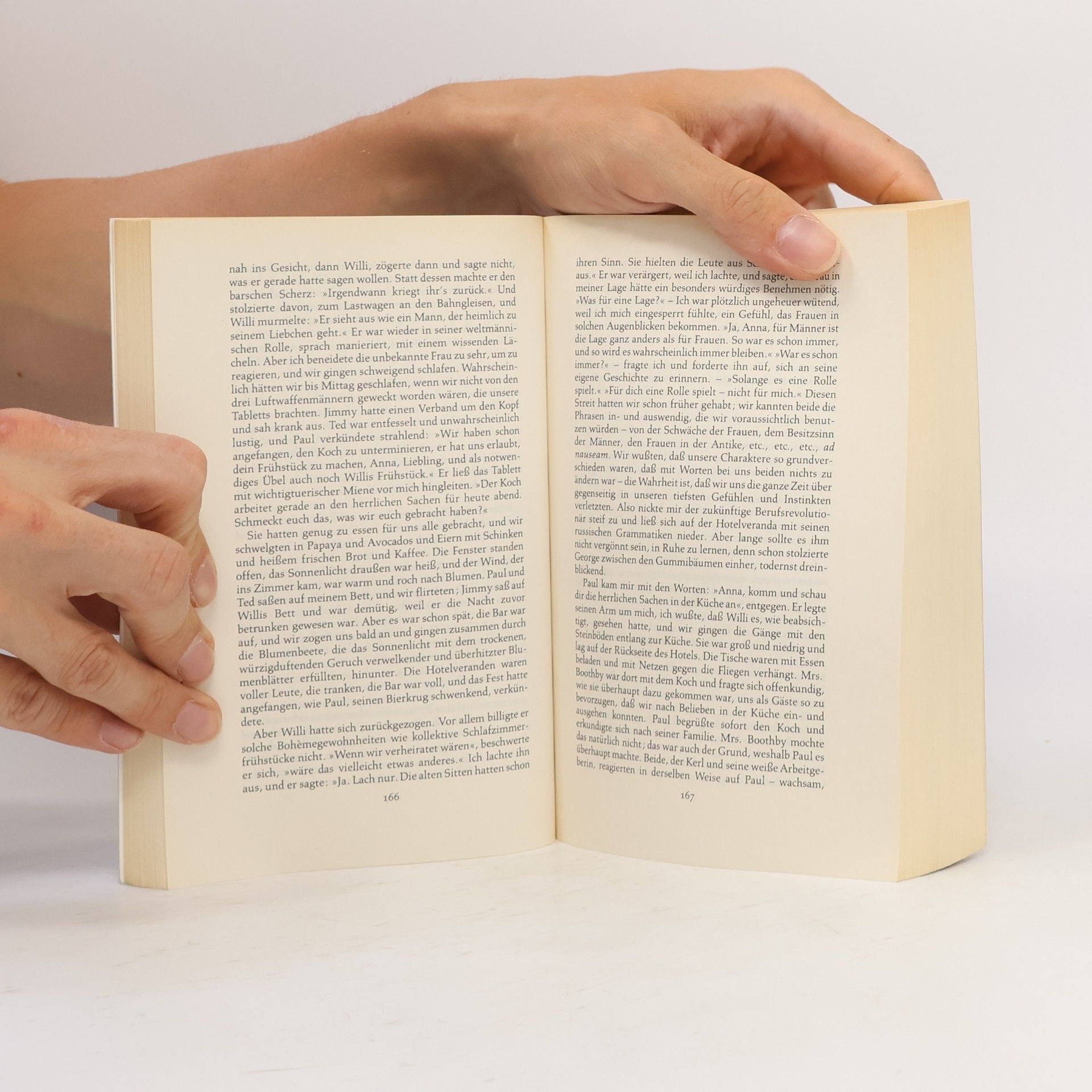 Doris Lessing Das goldene Notizbuch