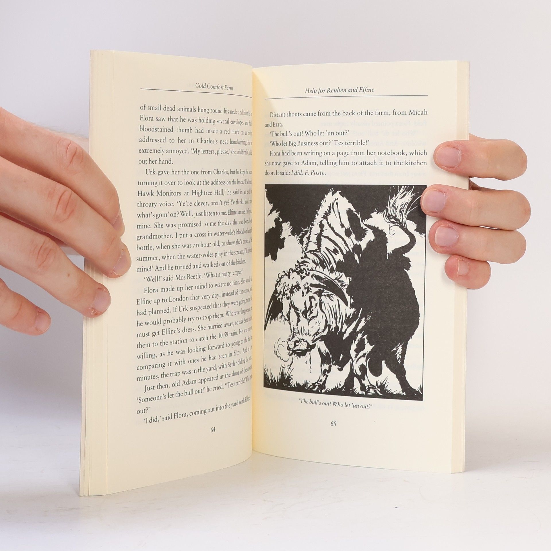 Stella Gibbons Cold comfort farm