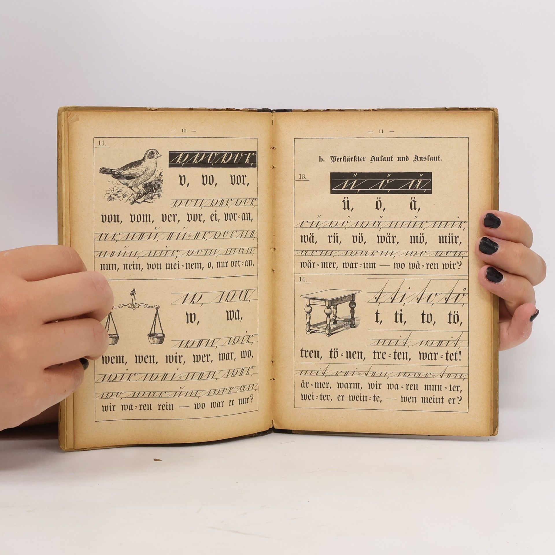 Autorenkollektiv Erstes Schulbuch für Primarschulen