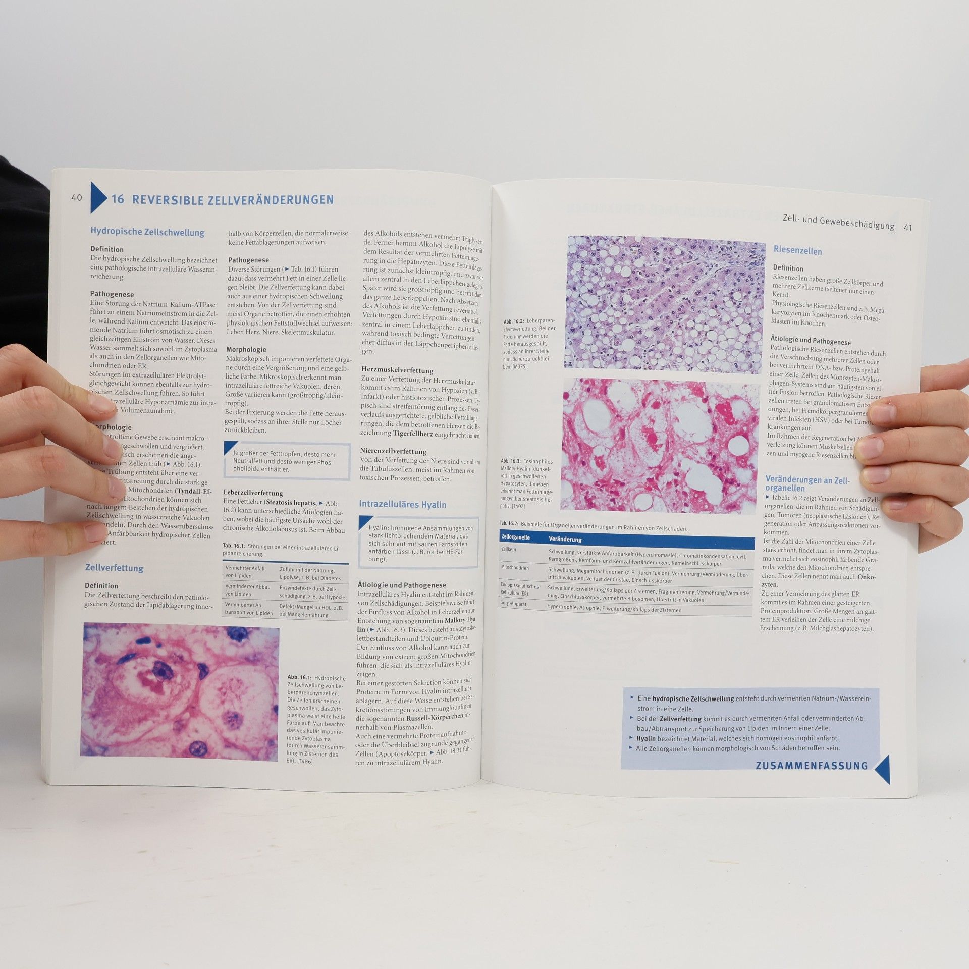 Simon Nennstiel Basics Allgemeine Pathologie