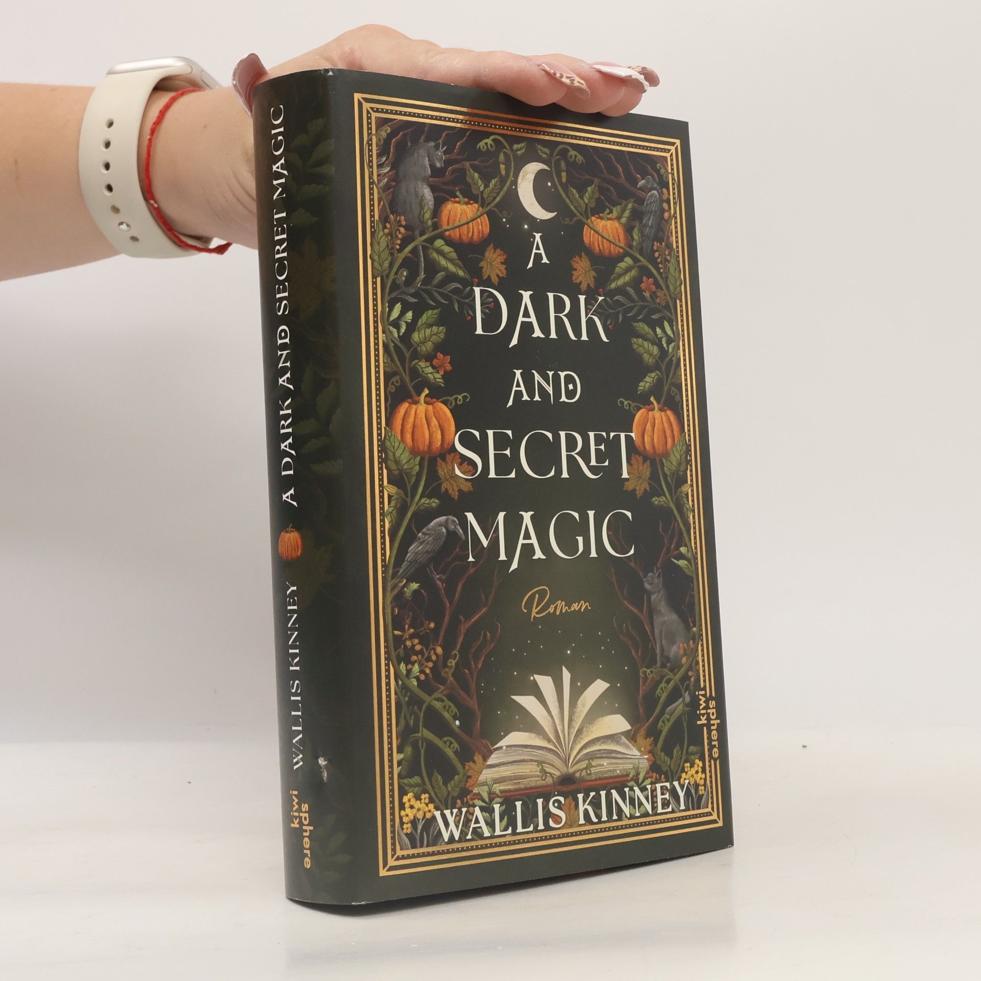 Wallis Kinney A Dark and Secret Magic