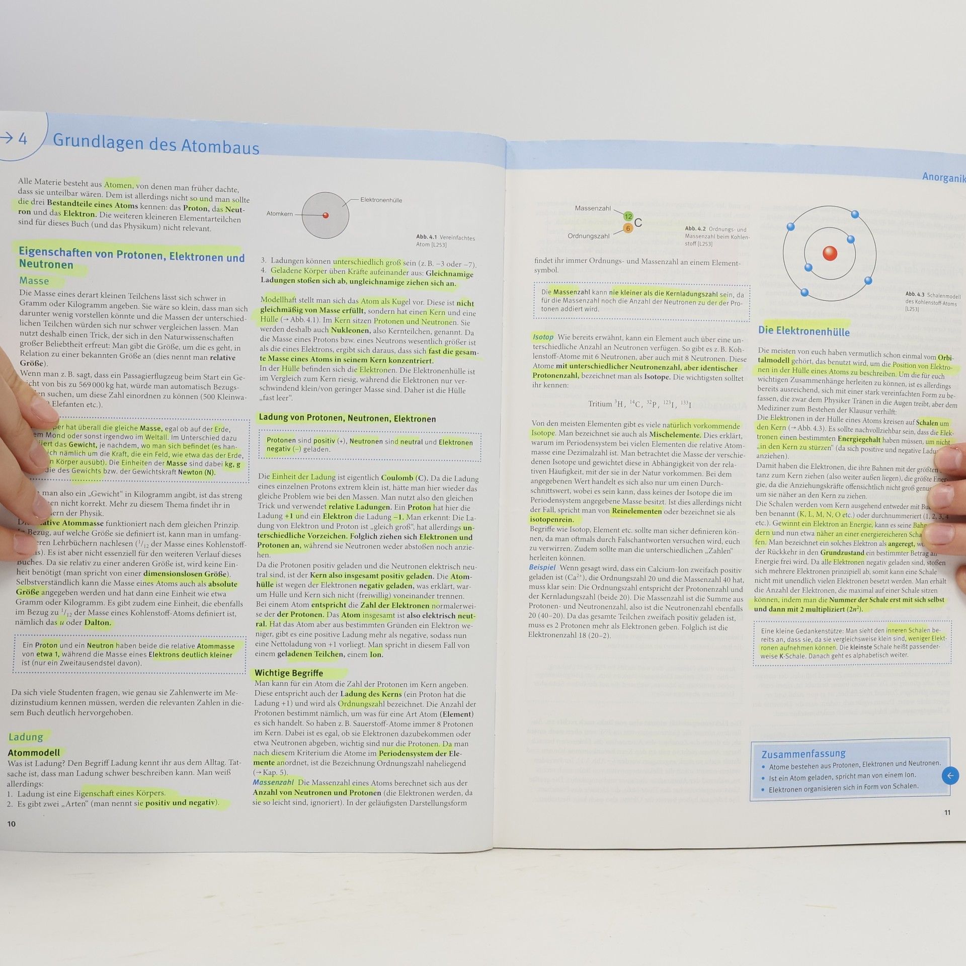 Paul Windisch Basics Vorkurs Medizin
