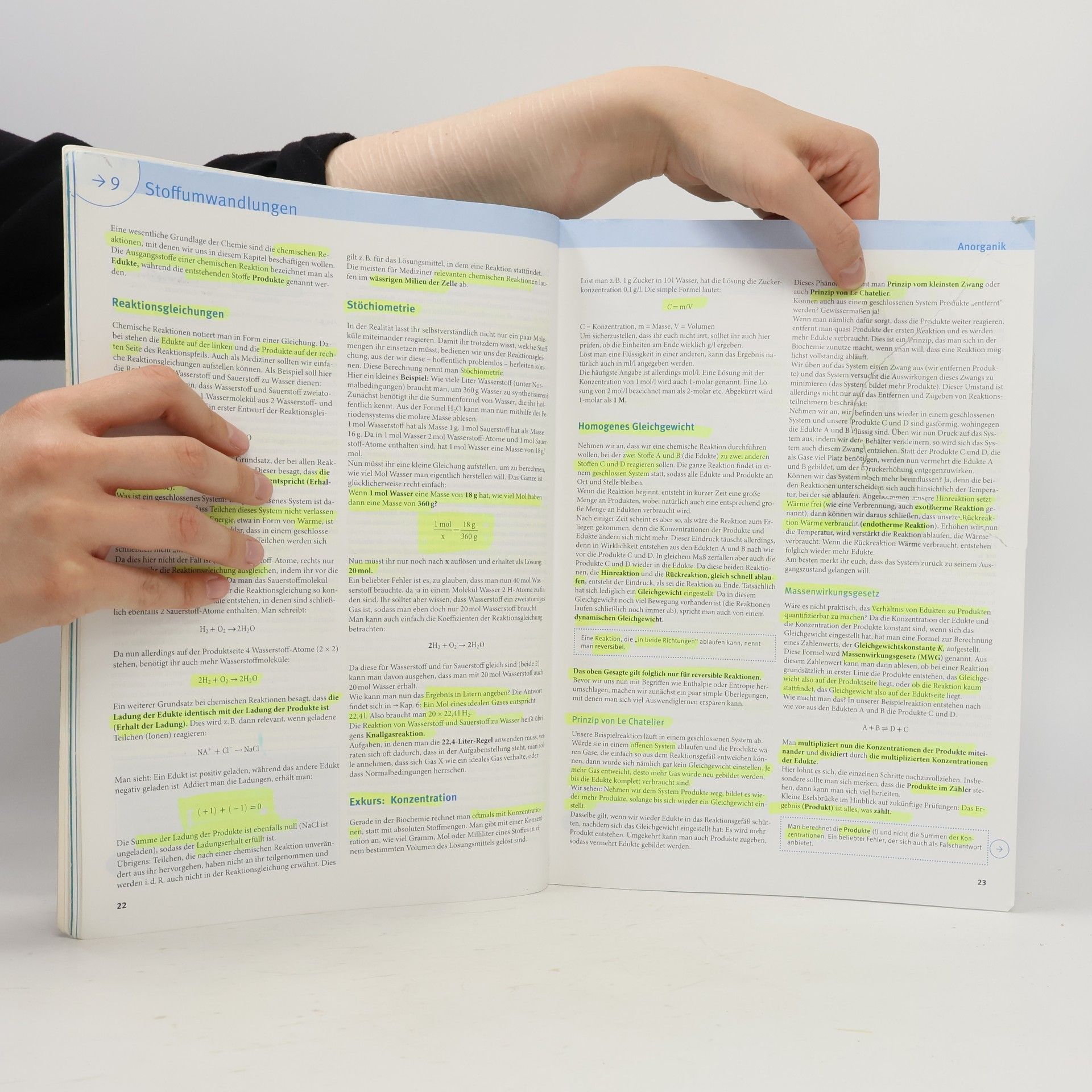 Paul Windisch Basics Vorkurs Medizin