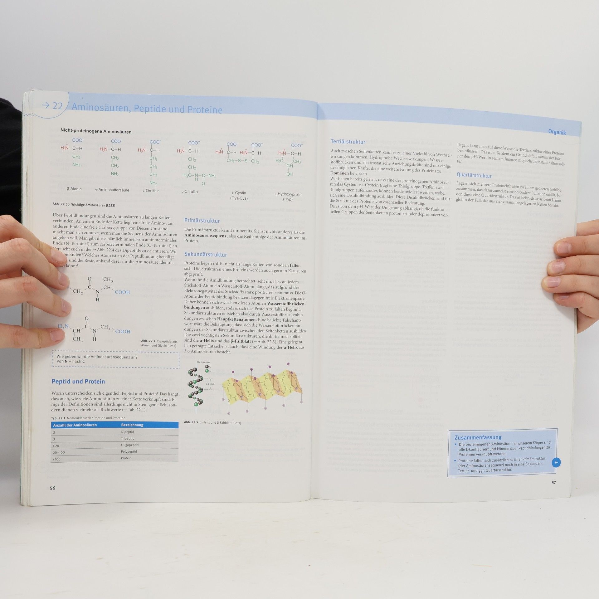 Paul Windisch Basics Vorkurs Medizin