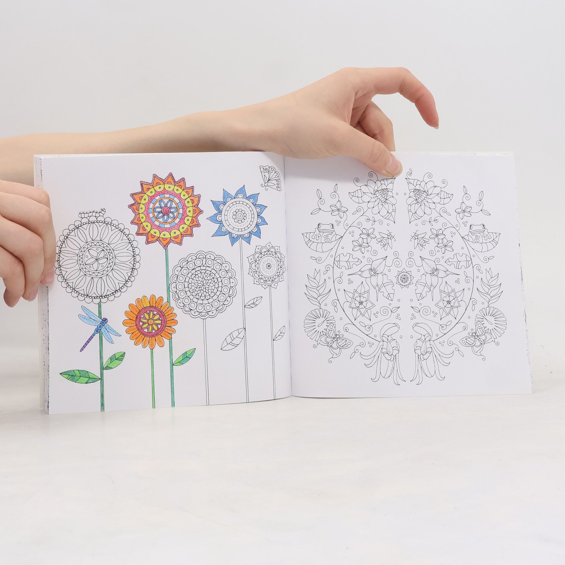 Anastasia Catris Colour Me Mindful: Tropical