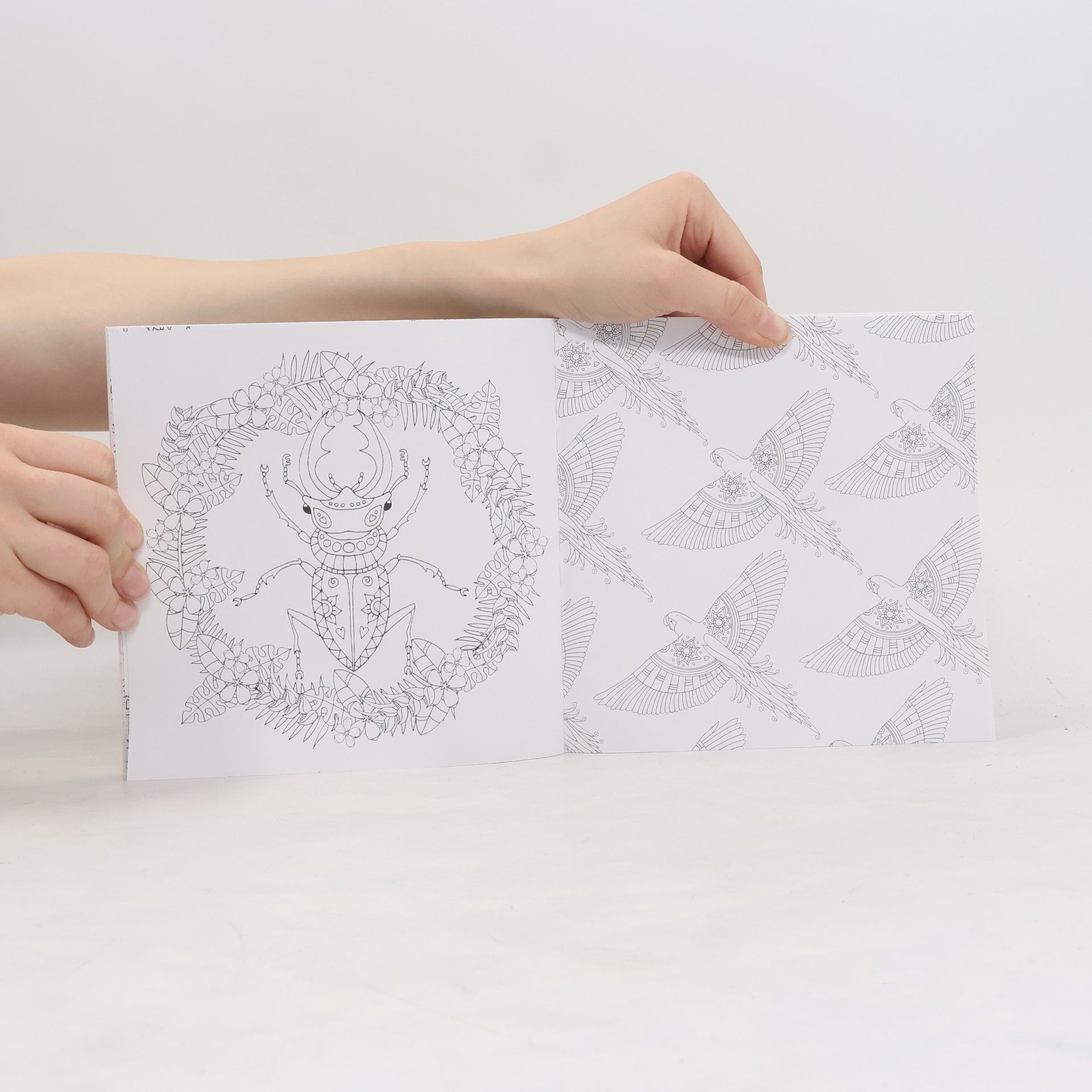 Anastasia Catris Colour Me Mindful: Tropical