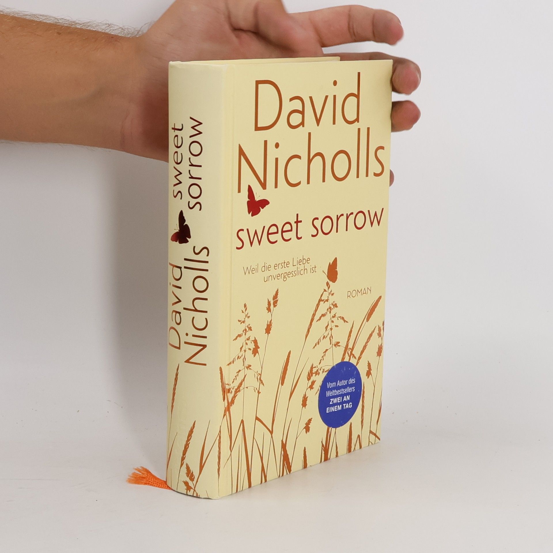 David Nicholls Sweet Sorrow