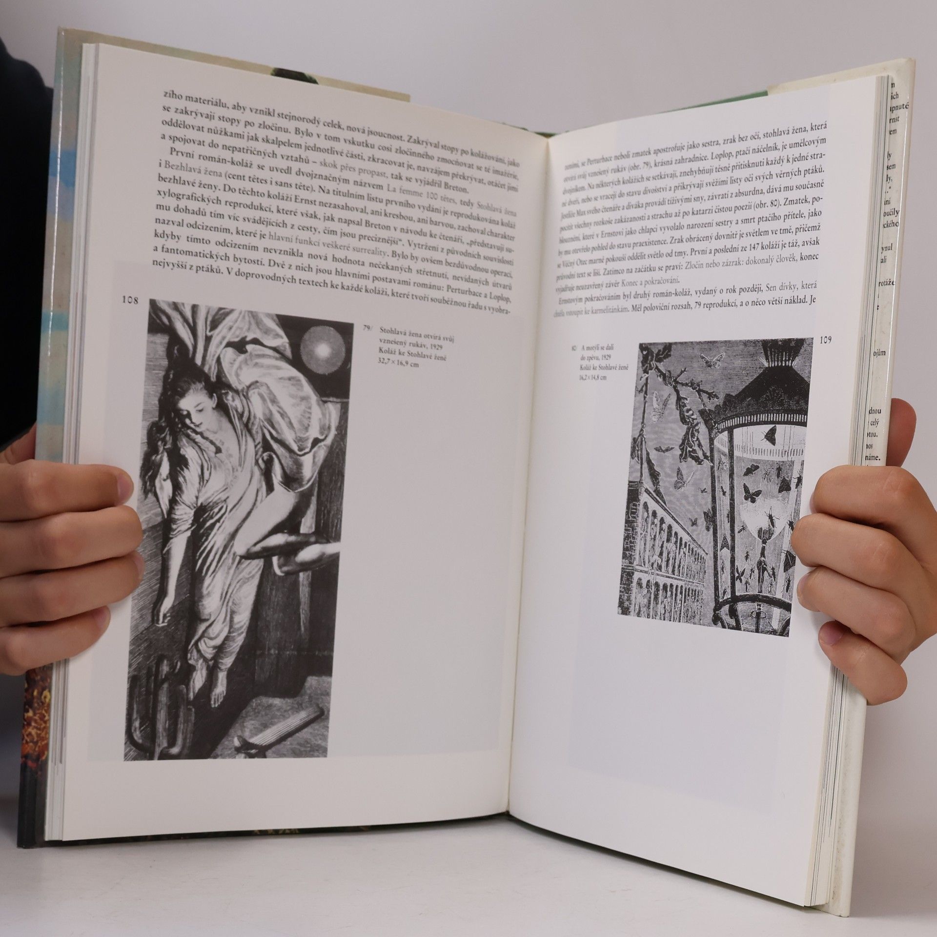 Pere Gimferrer Max Ernst, neboli, Rozplývání identity