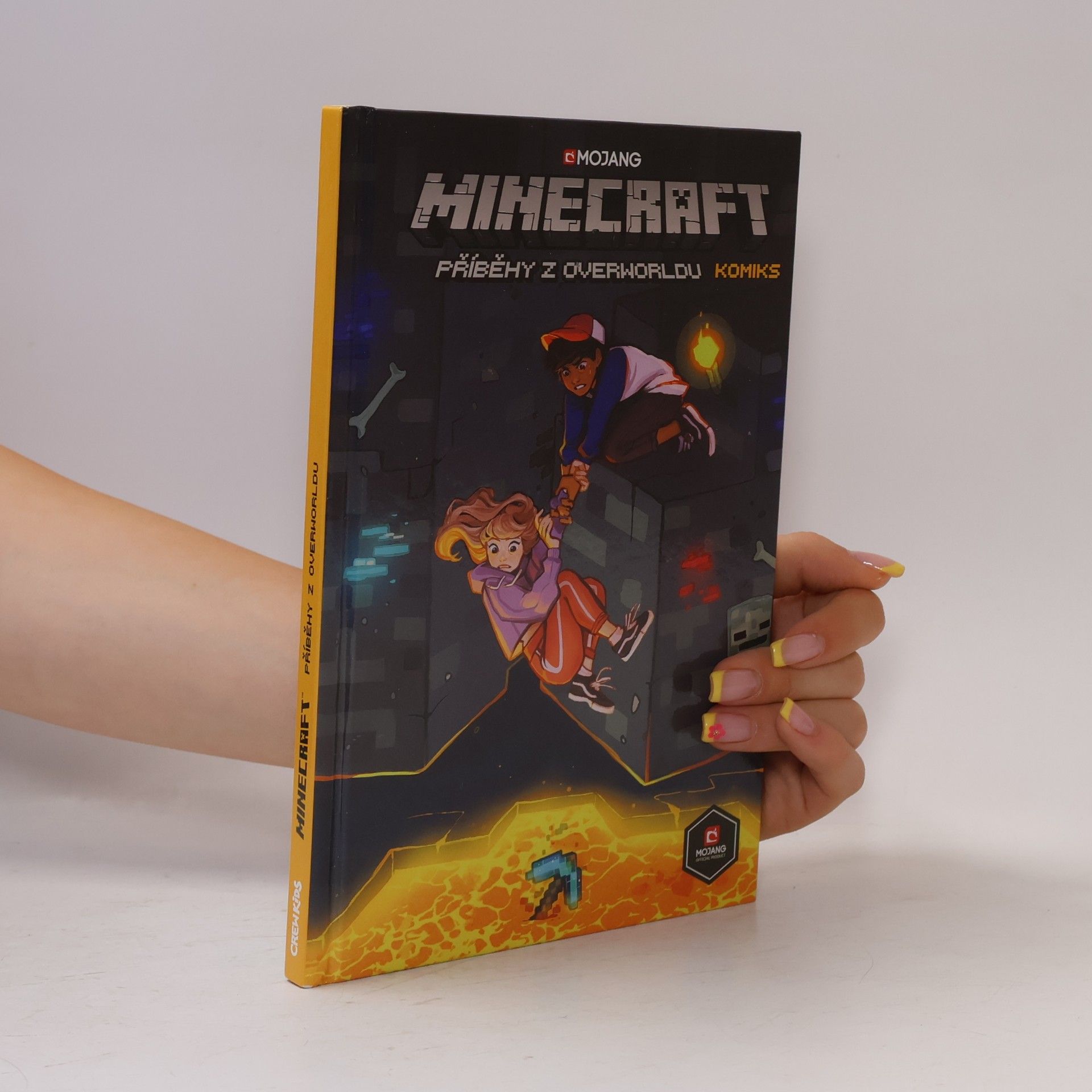 Ian Flynn Minecraft. Příběhy z Overworldu