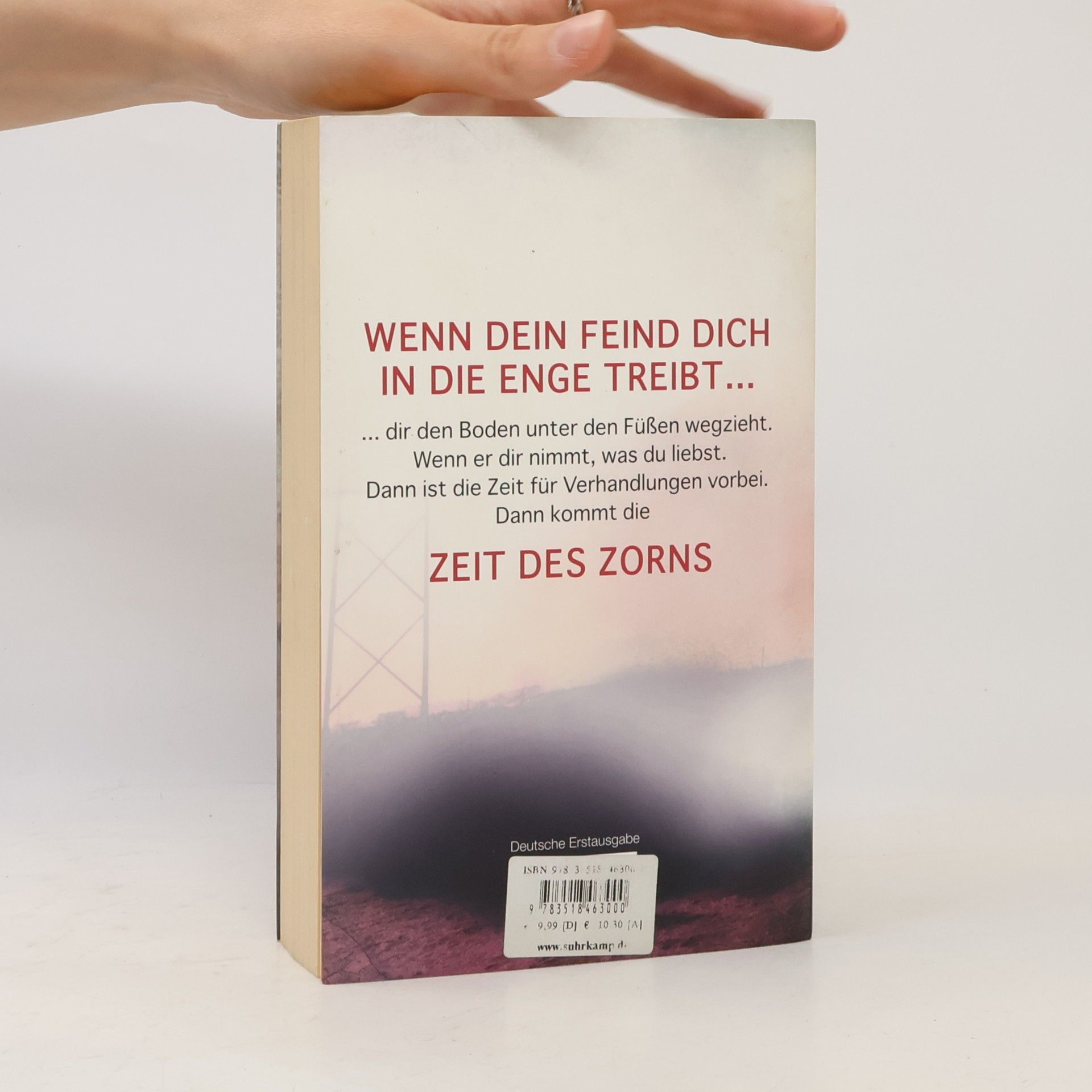 Don Winslow Zeit des Zorns