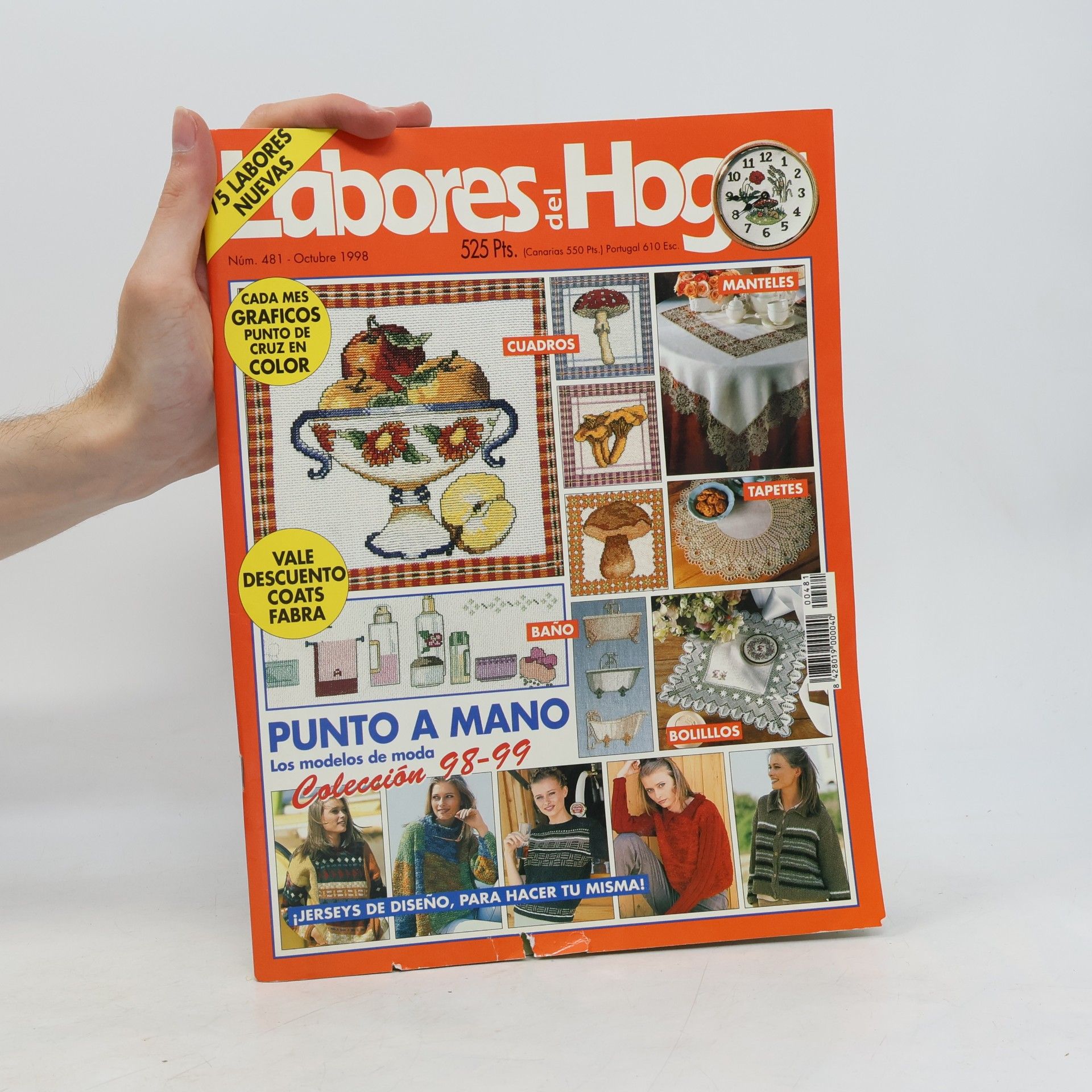 Kolektív autorov Labores del Hogar 481