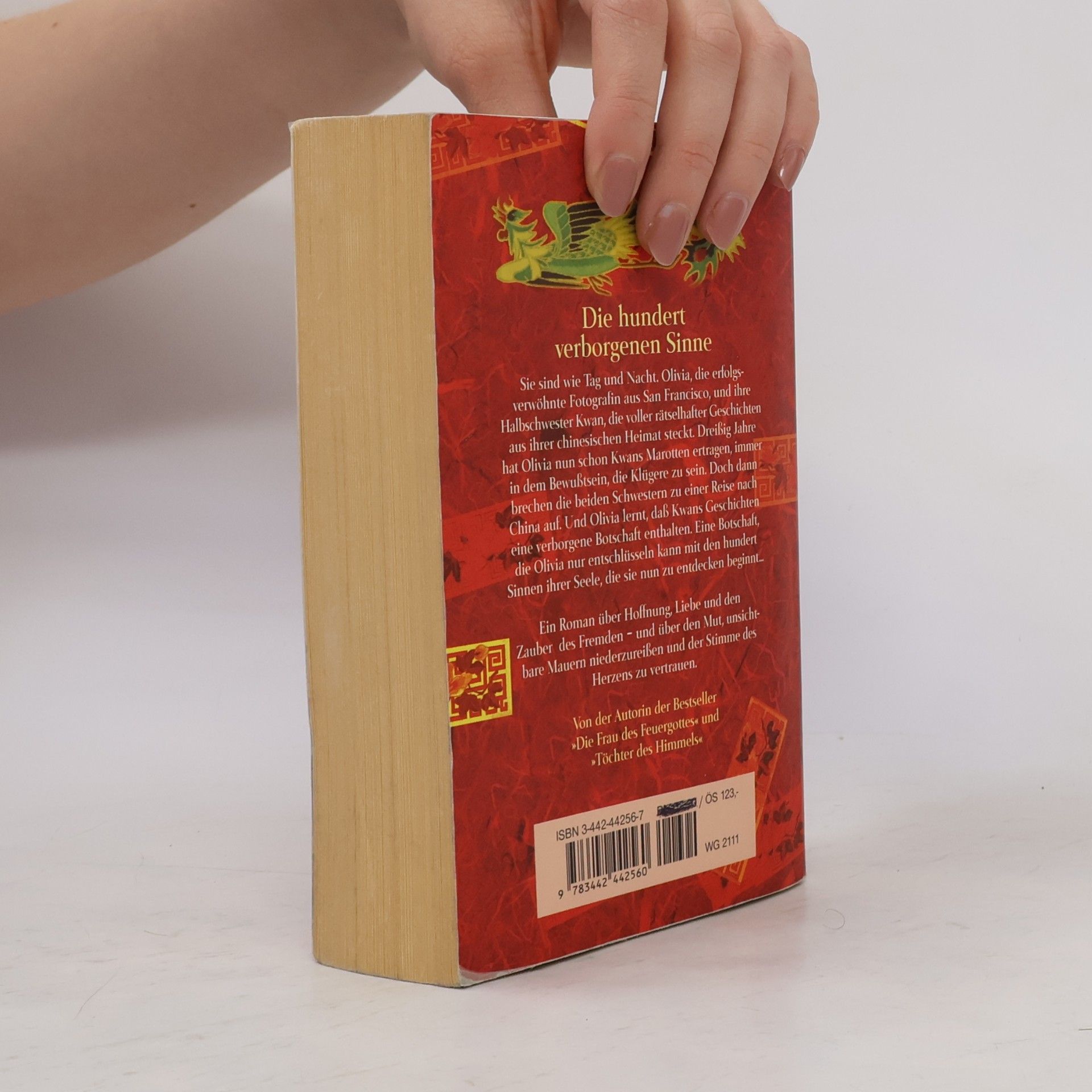 Amy Tan Die hundert verborgenen Sinne