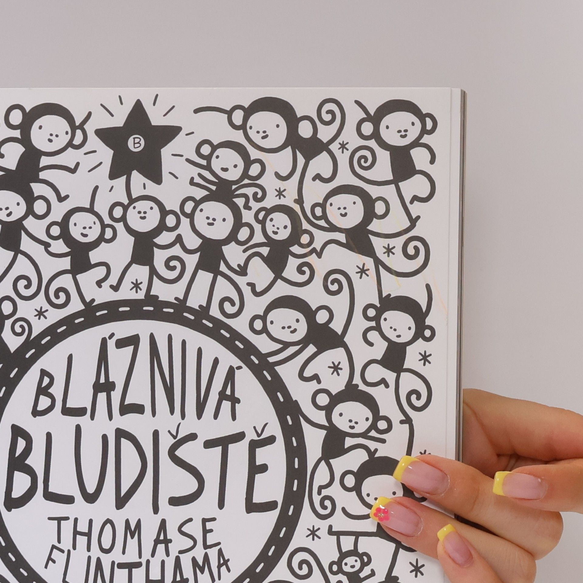 Thomas Flintham Bláznivá bludiště