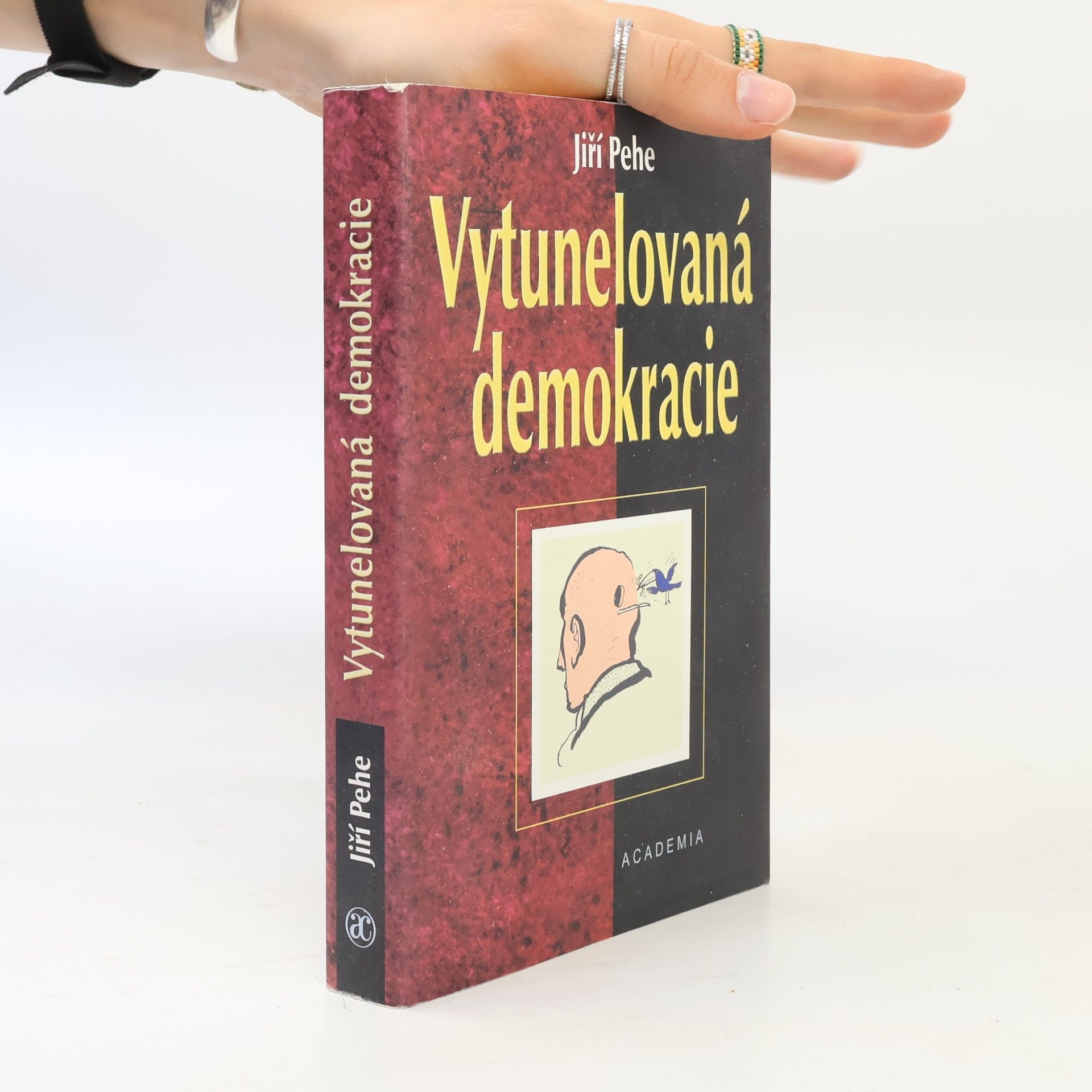 Vytunelovaná demokracie