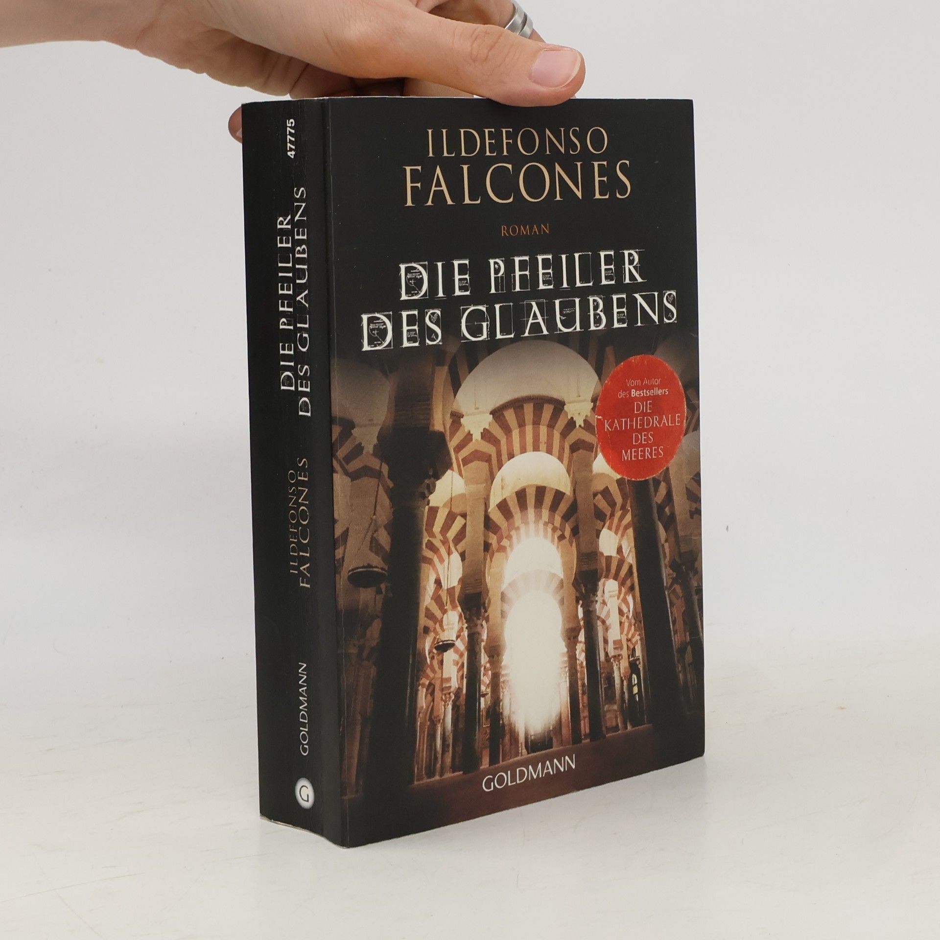 Ildefonso Falcones Die Pfeiler des Glaubens