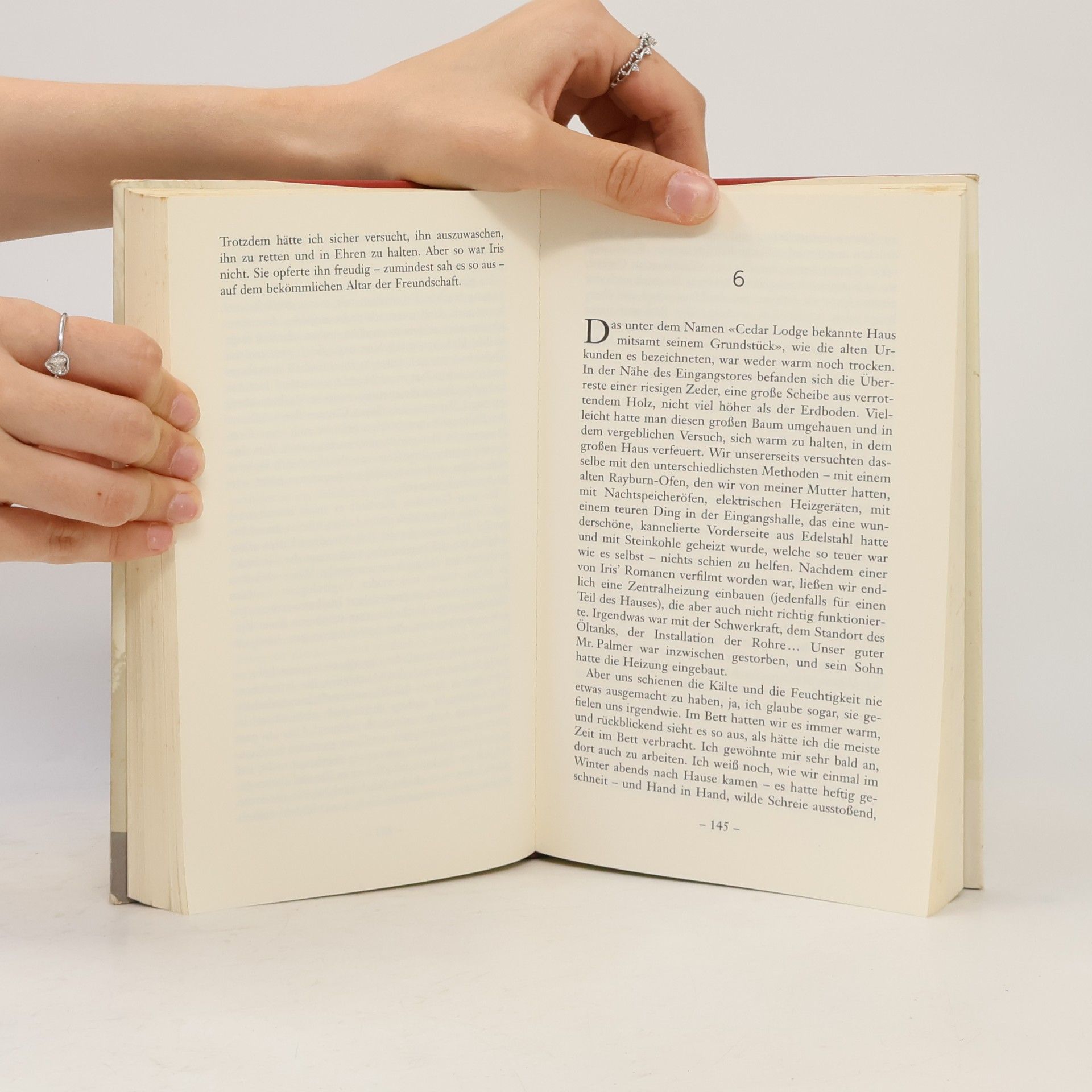 John Bayley Elegie für Iris